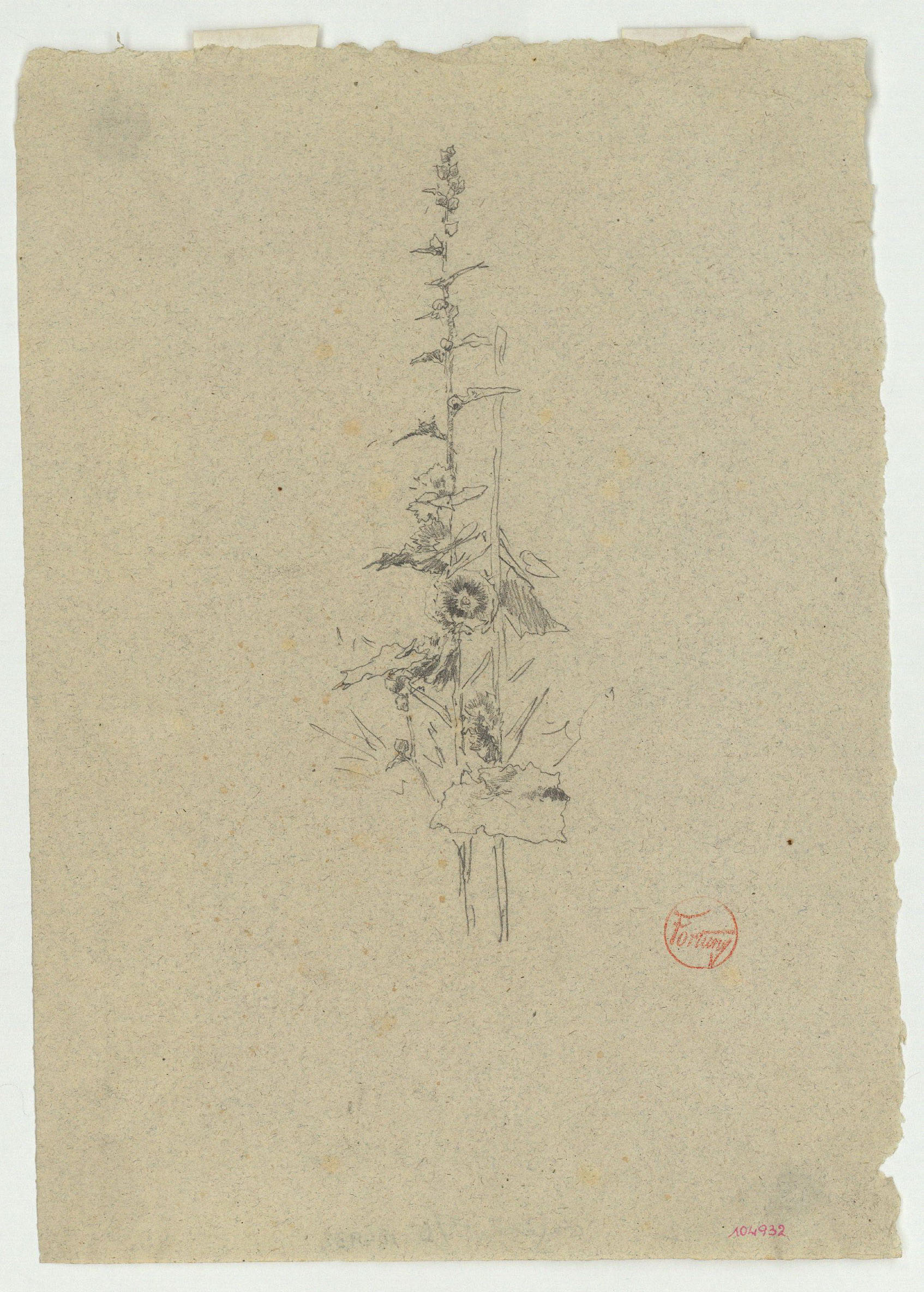 image for: Marià Fortuny - Estudi per al gravat «El botànic» - Cap a 1868-1869