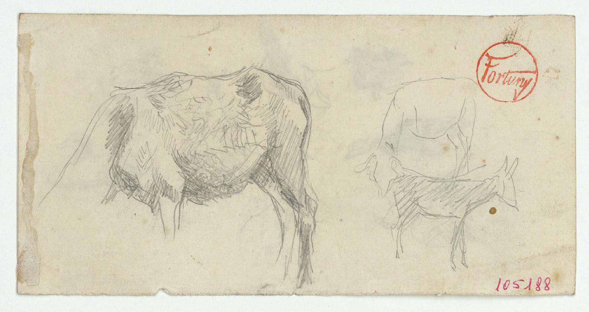image for: Marià Fortuny - Rucs (anvers) / Ànecs i gallines (revers) - Cap a 1870-1872