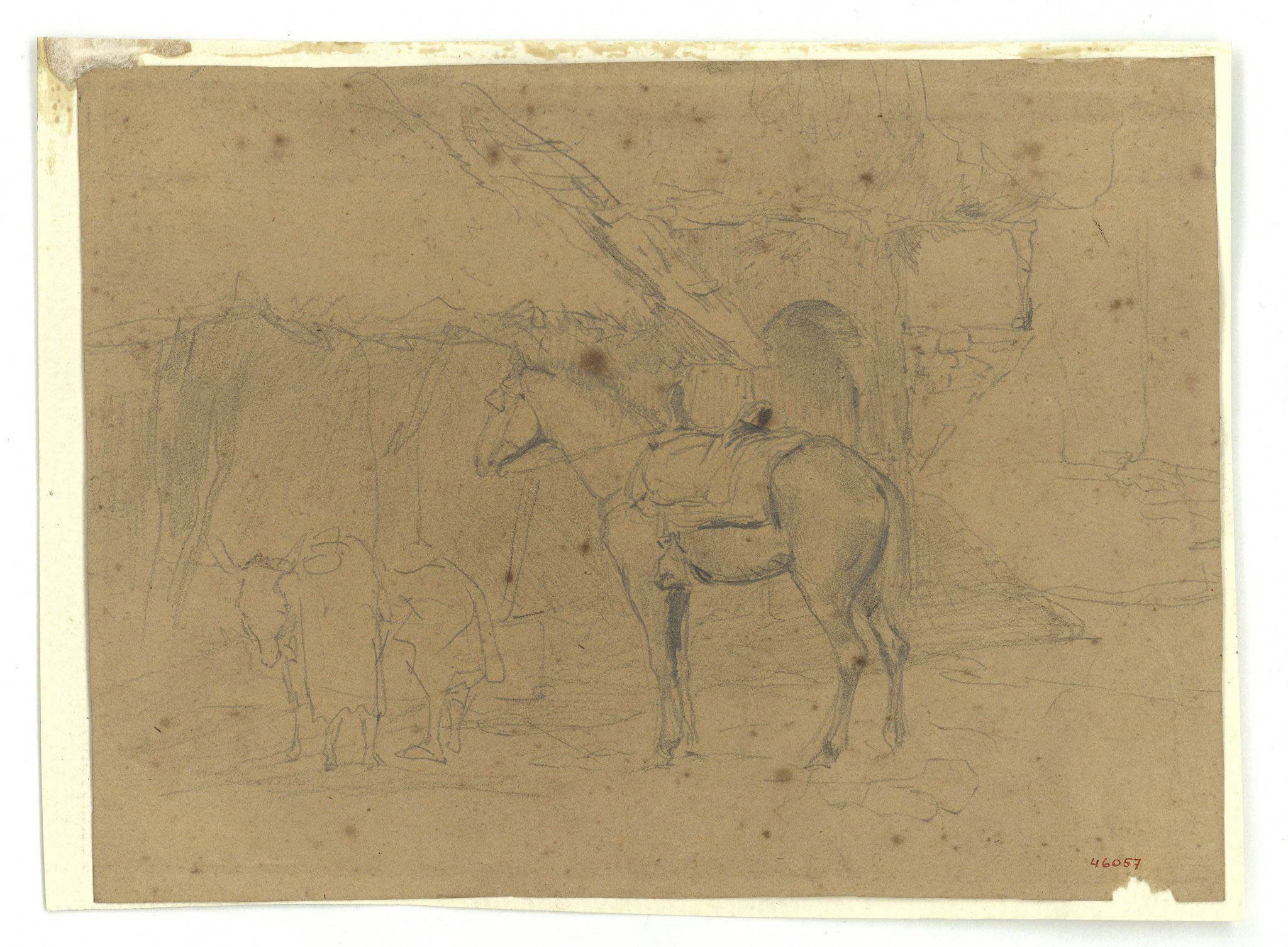 image for: Marià Fortuny - Estudi per al gravat «Cavall marroquí» - Cap a 1860-1862
