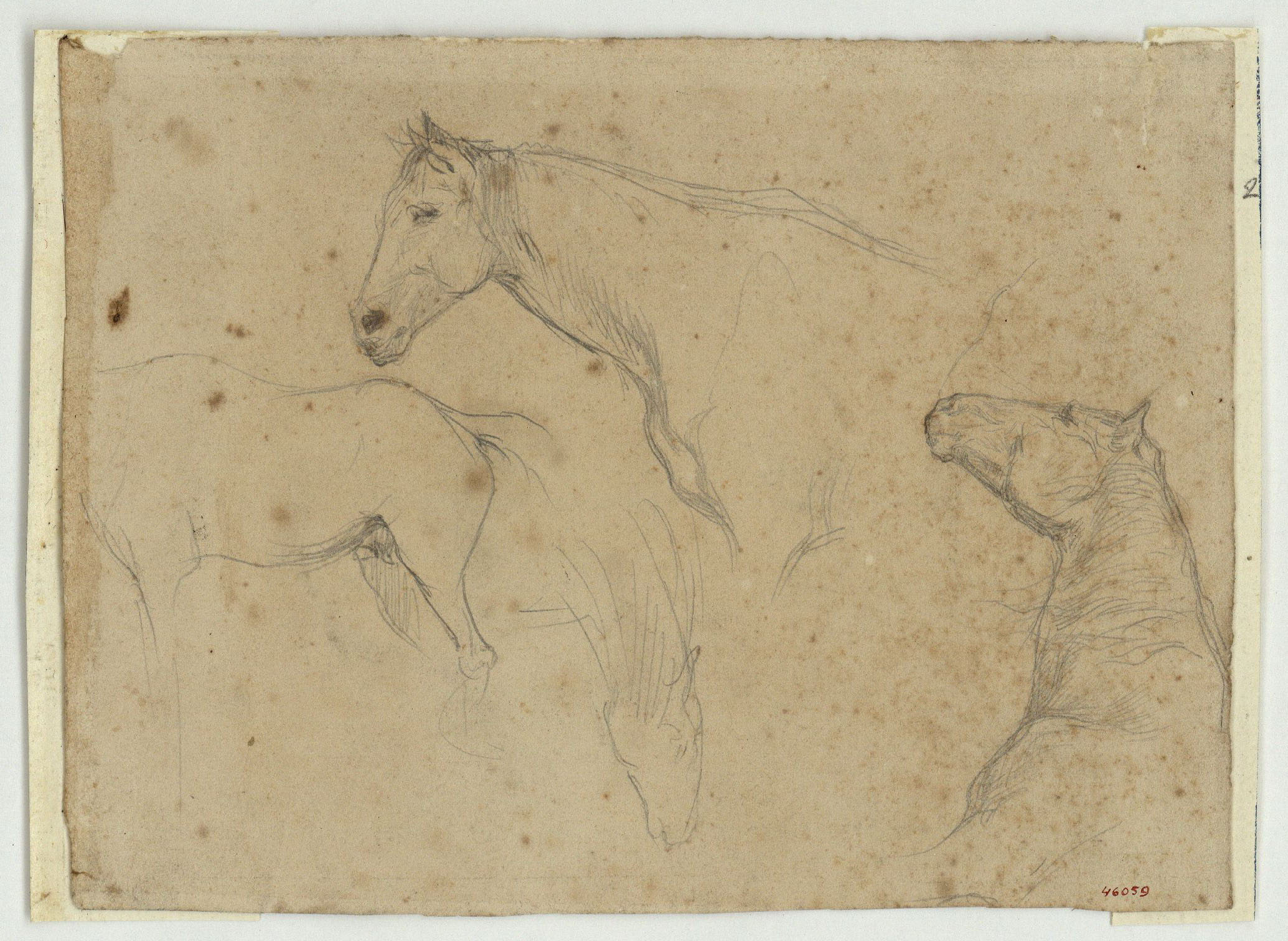image for: Marià Fortuny - Estudi de cavalls (anvers) / Nen i altres figures (revers) - Cap a 1860-1862