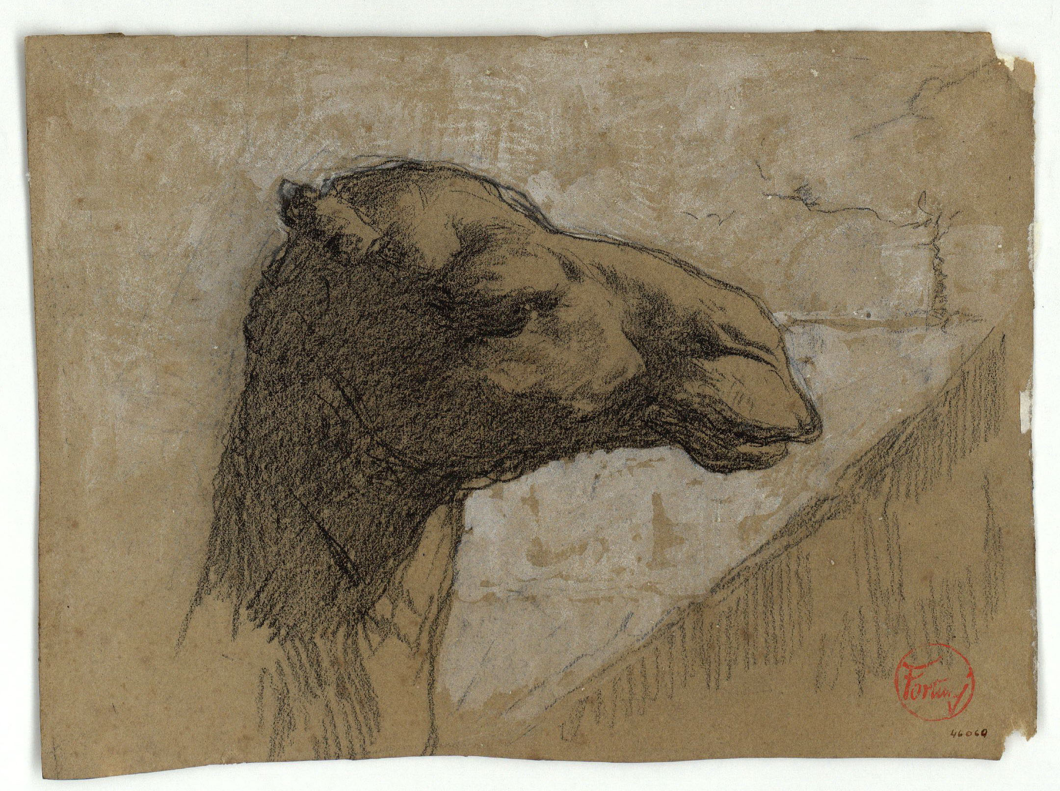 image for: Marià Fortuny - Cap de camell (anvers) / Esbós de figures (revers) - Cap a 1860-1862