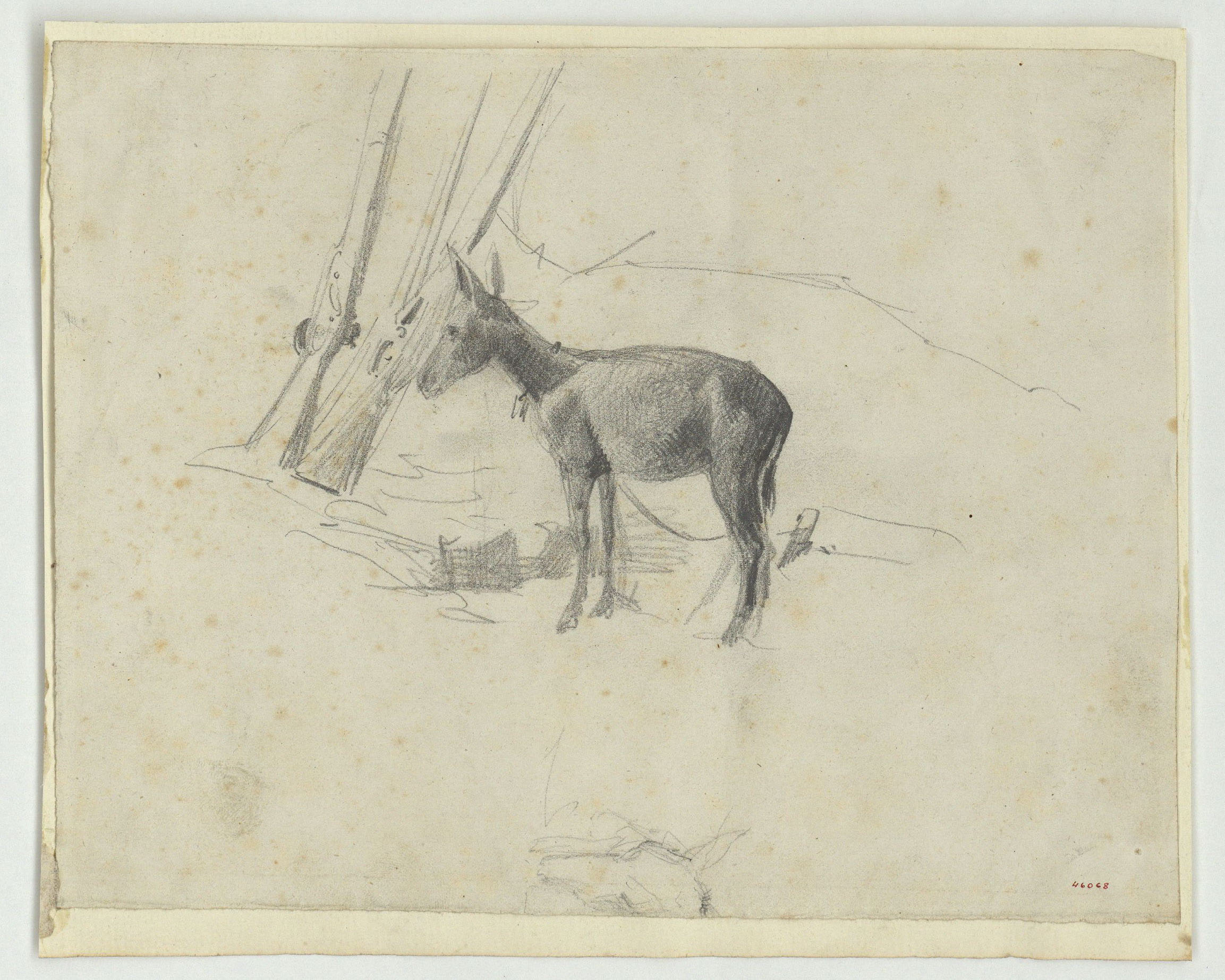 image for: Marià Fortuny - Ruc - Cap a 1860-1862