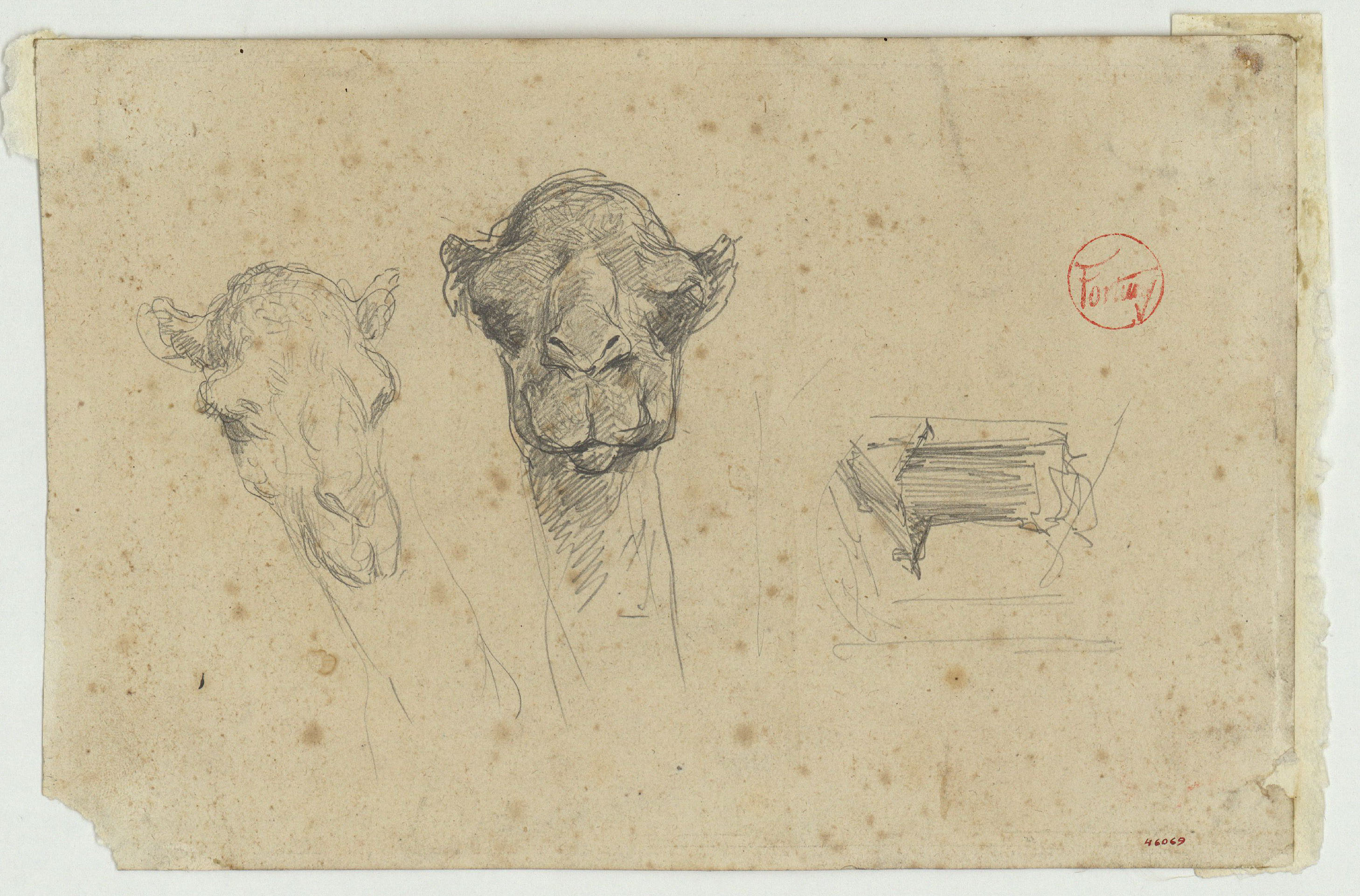 image for: Marià Fortuny - Caps de camell - Cap a 1860-1862