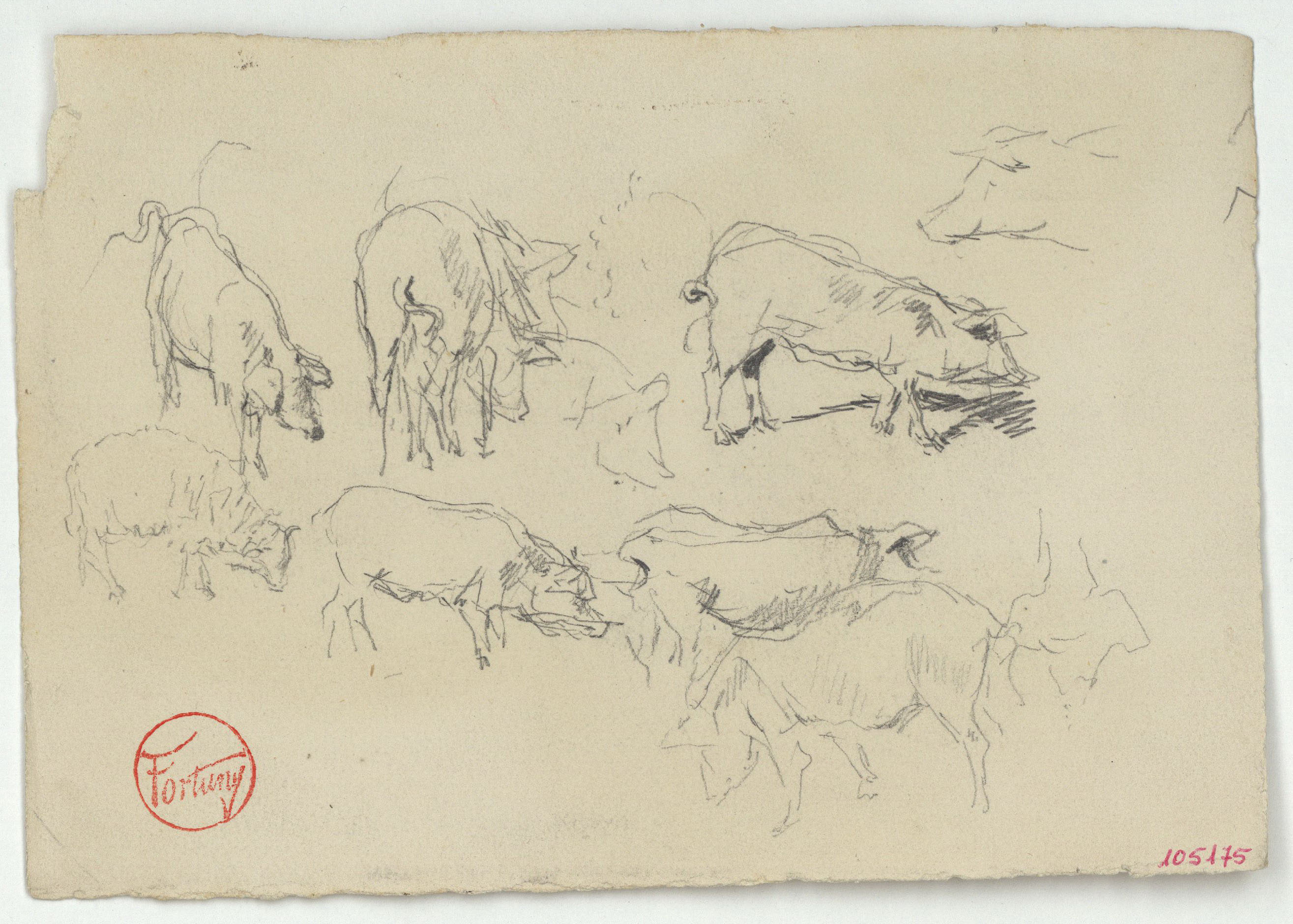 image for: Marià Fortuny - Estudi per al quadre «Els porcs» - Cap a 1872