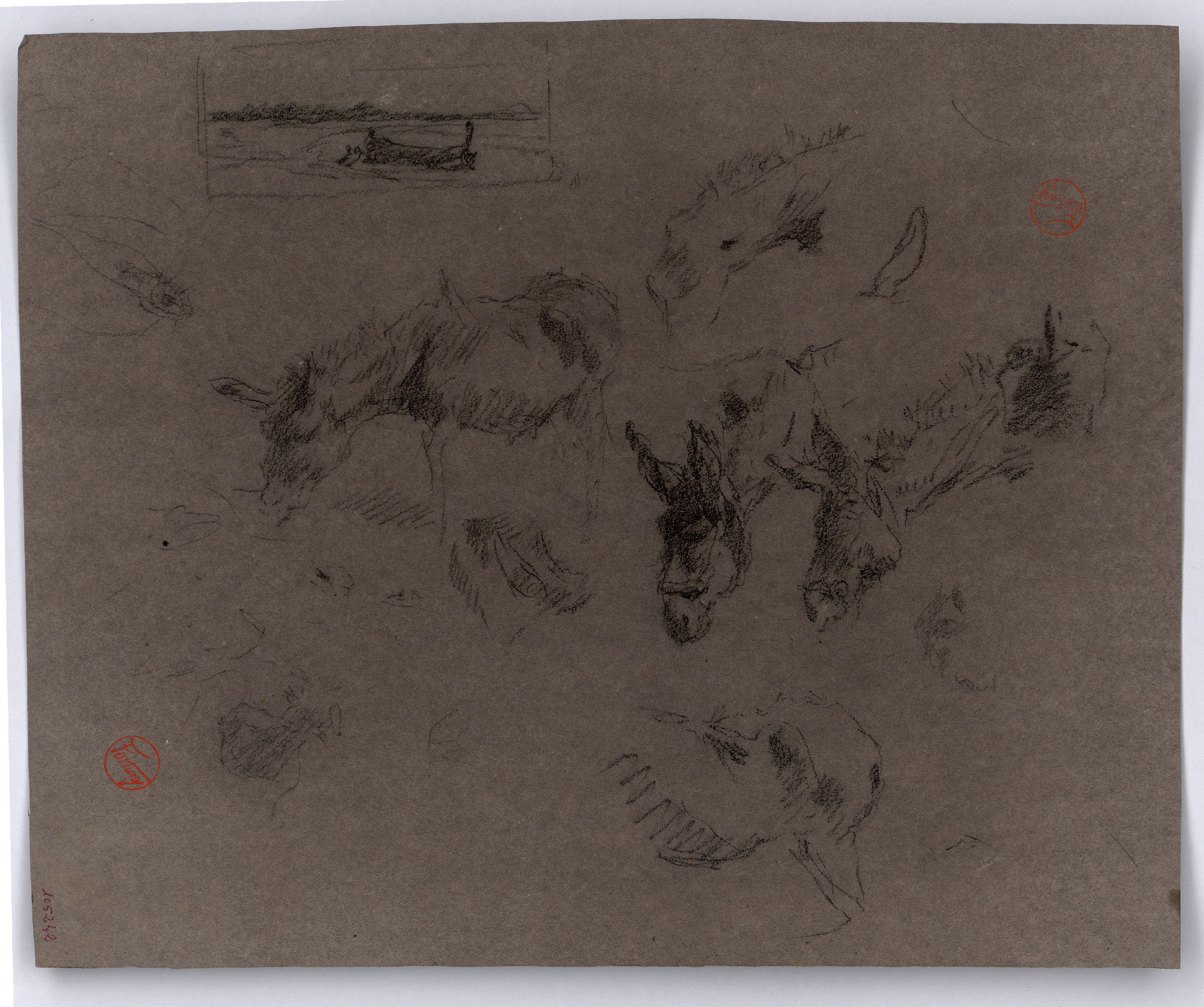 image for: Marià Fortuny - Rucs - Cap a 1867-1872