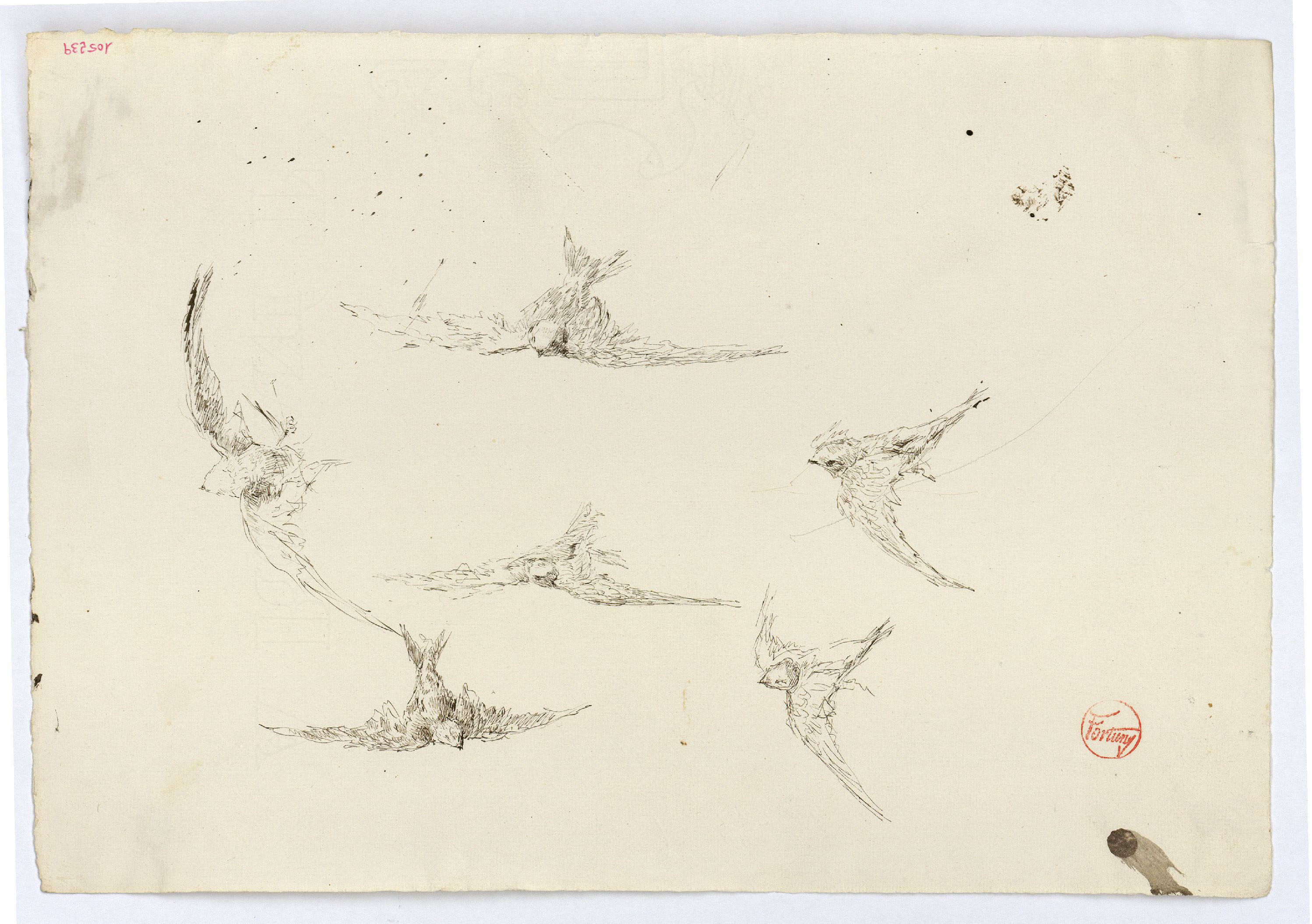 image for: Marià Fortuny - Falciots - Cap a 1872-1874