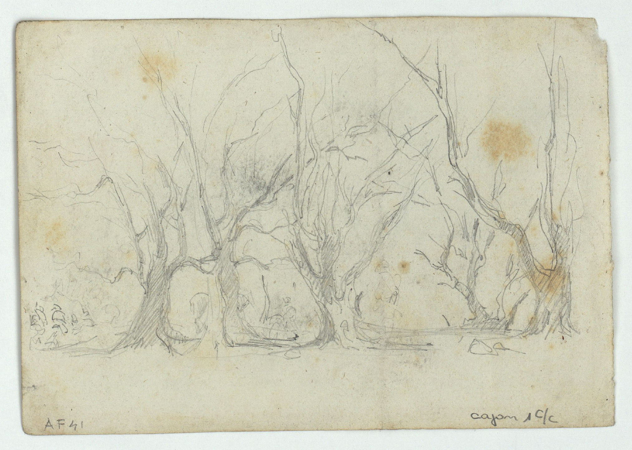 image for: Marià Fortuny - Cavalls i telescopi (anvers) / Arbres (revers) - Cap a 1860 [1]