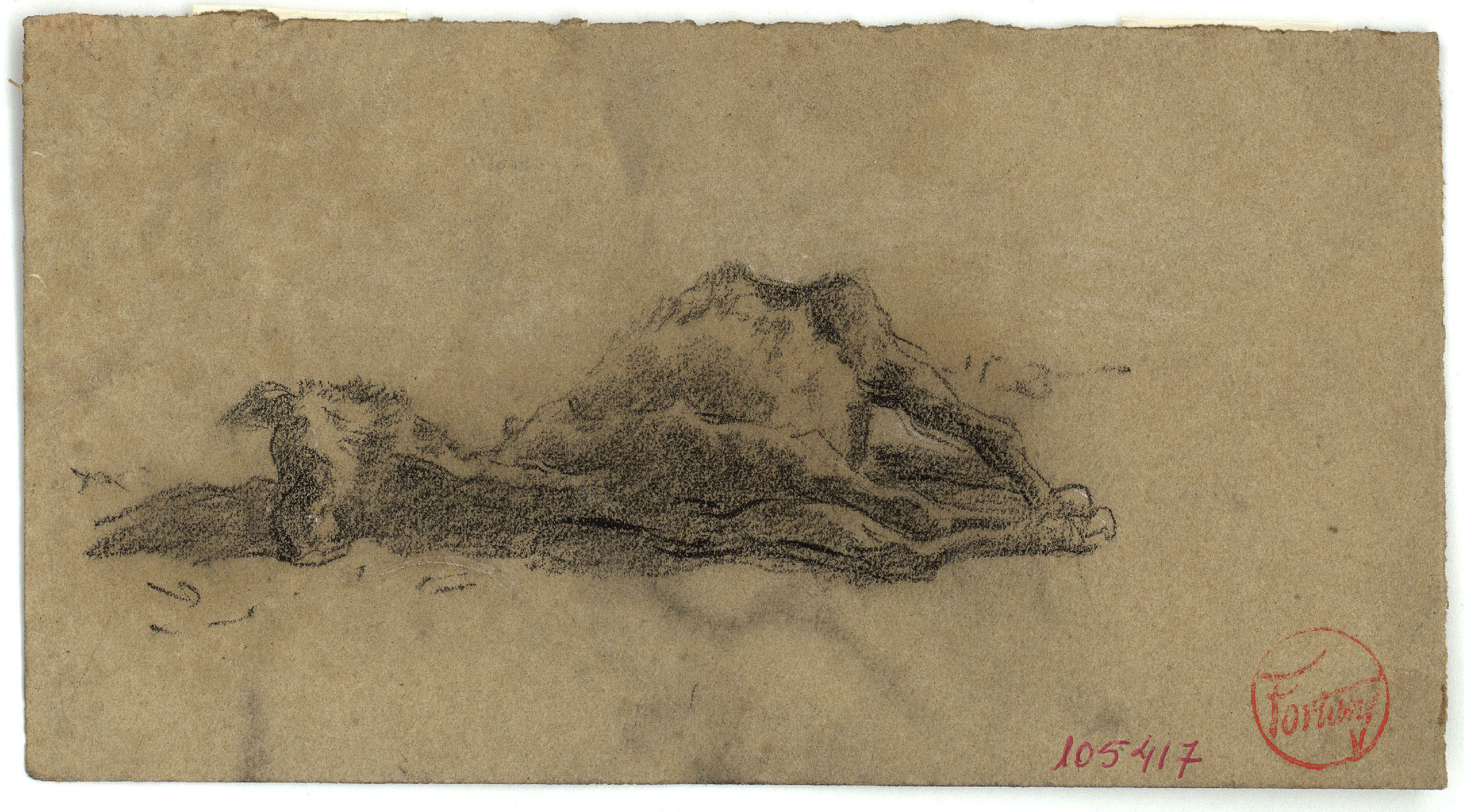 image for: Marià Fortuny - Ruc ajagut - Cap a 1867-1872