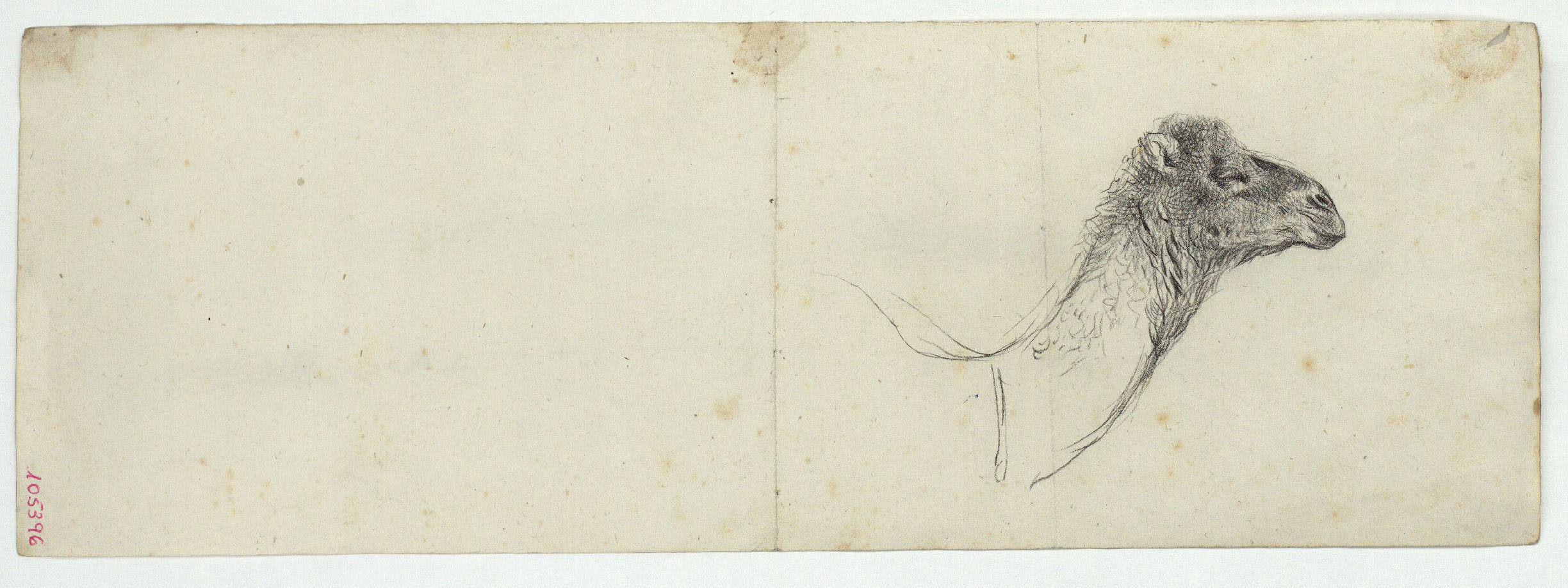 image for: Marià Fortuny - Paisatge marroquí (anvers) / Cap de camell (revers) - Cap a 1860-1862 [1]