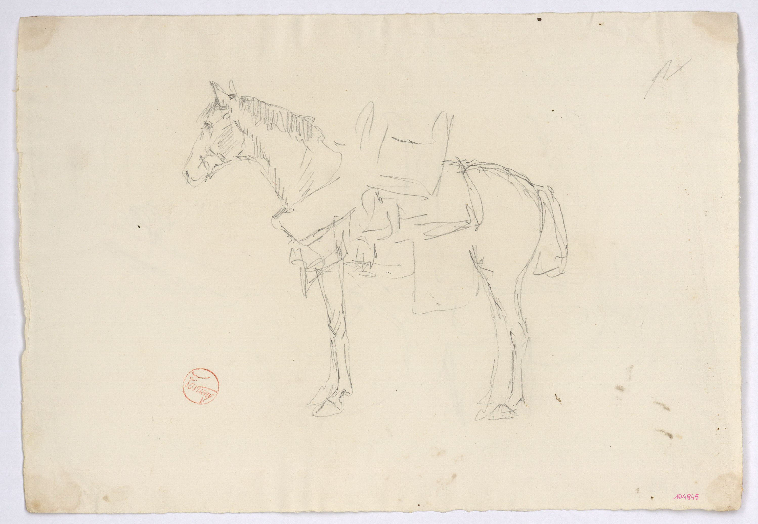 image for: Marià Fortuny - Estudi per al gravat «Cavall marroquí» (anvers) / Estudi per al gravat «Cavall marroquí» (revers) - Cap a 1860-1862