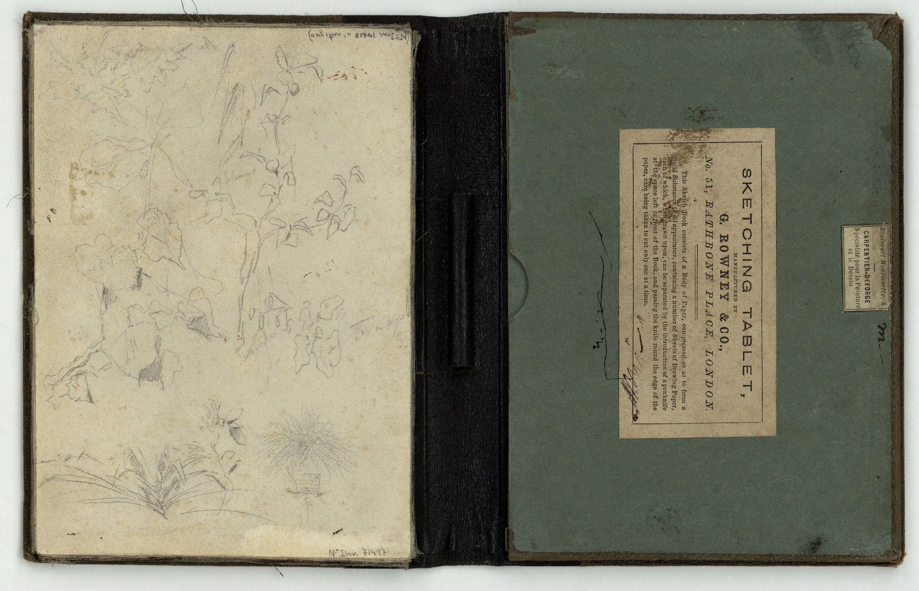 image for: Marià Fortuny - Esbós de plantes - Cap a 1866-1874