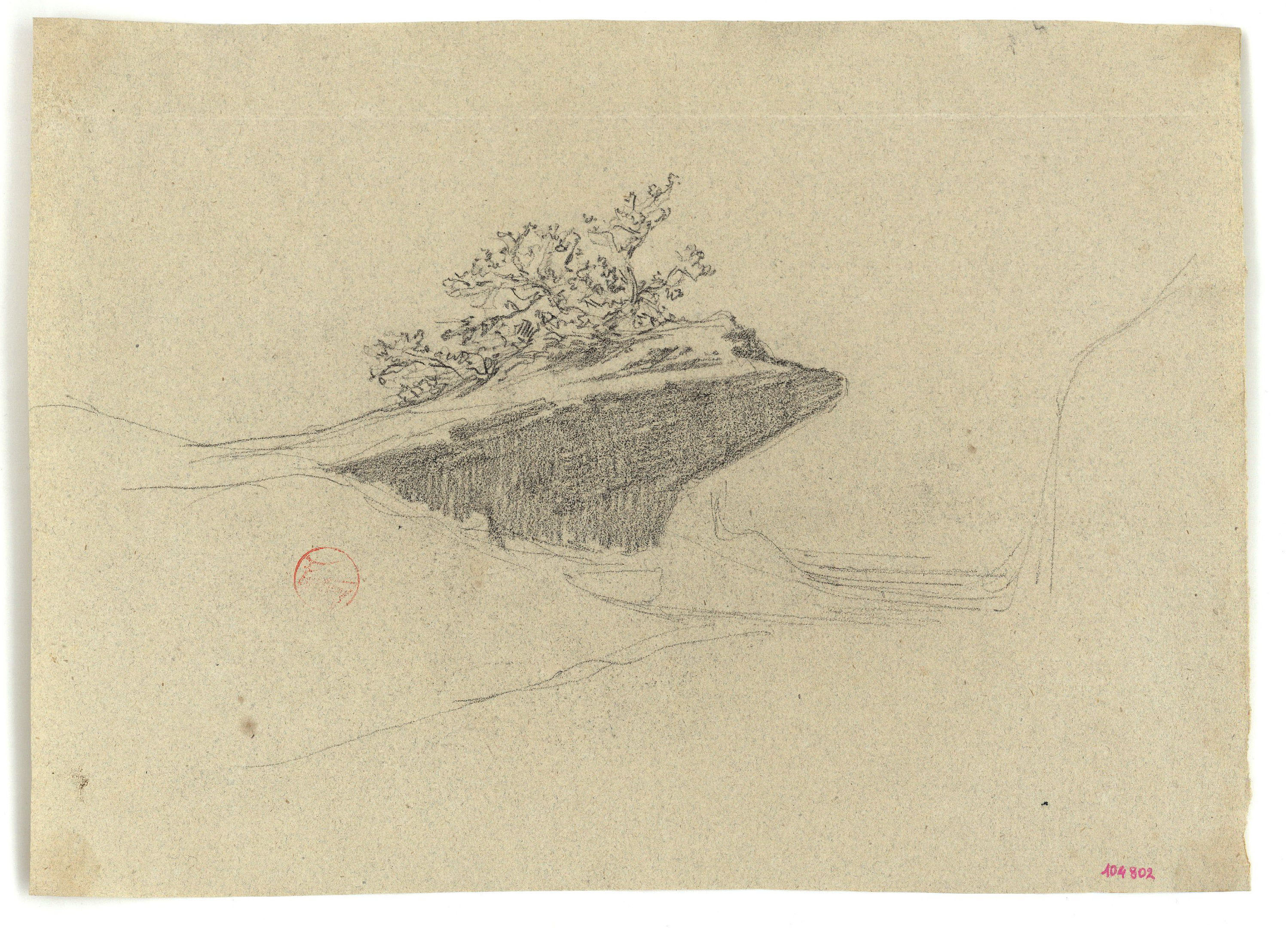 image for: Marià Fortuny - Roca amb matolls - Cap a 1860-1862