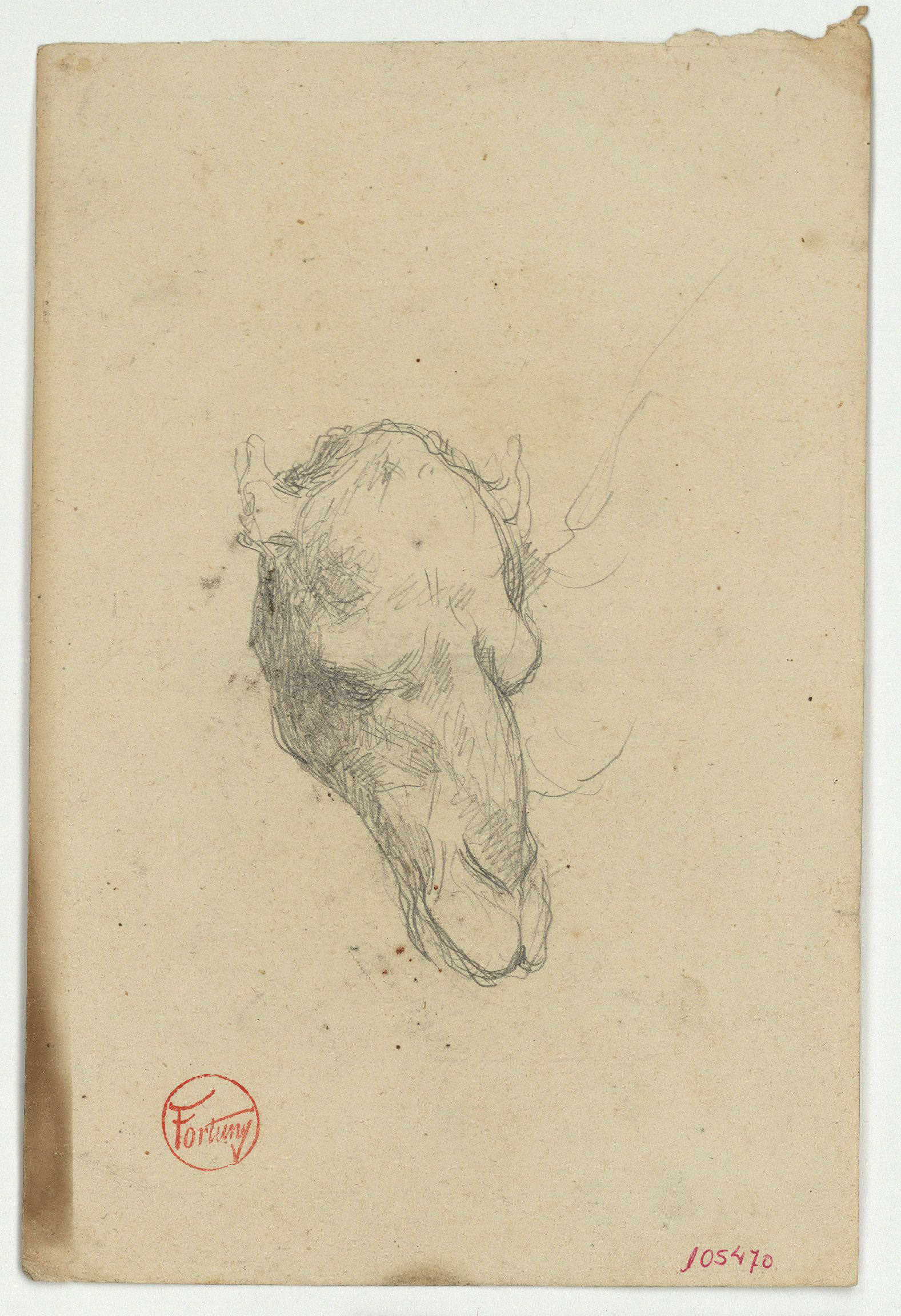 image for: Marià Fortuny - Cap de camell (anvers) / Esbós de figura asseguda (revers) - Cap a 1860-1862