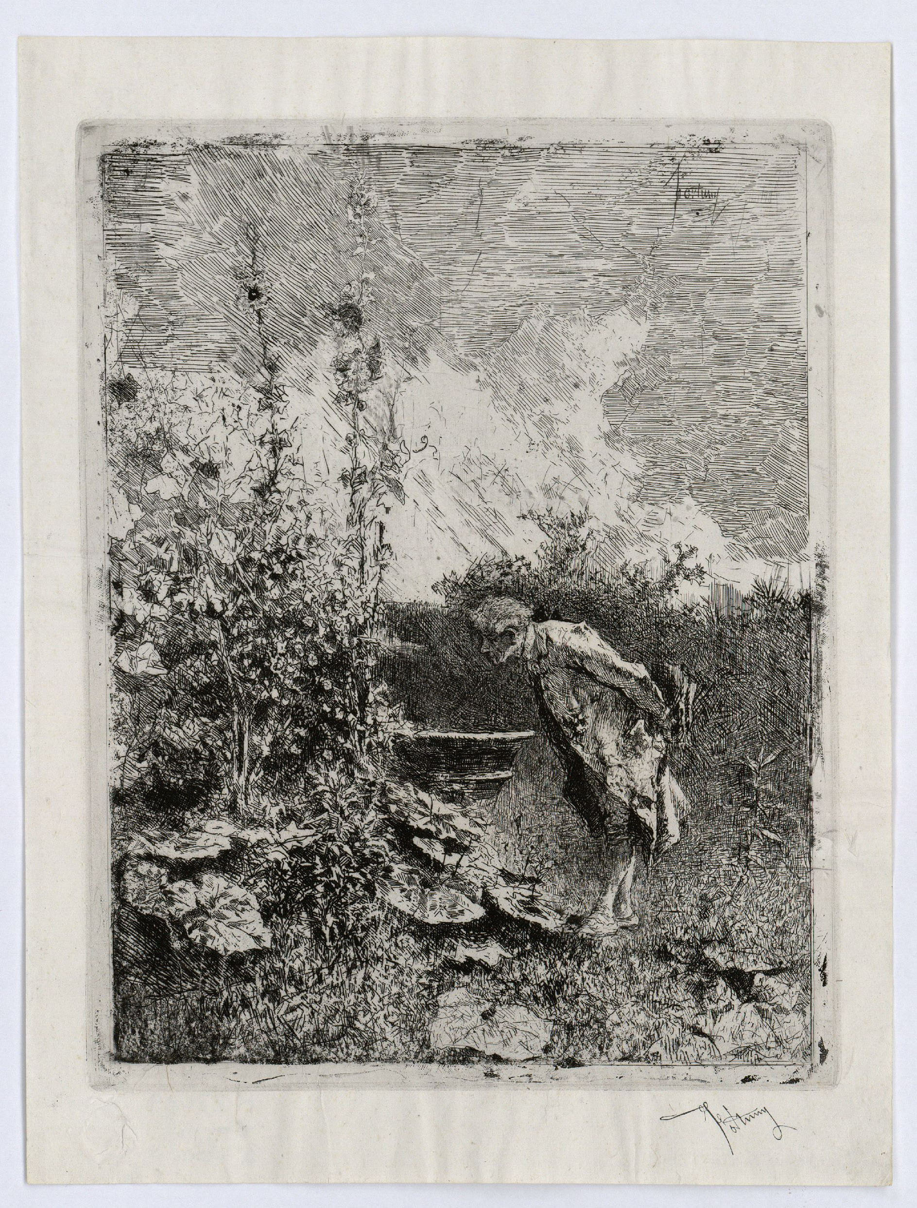 image for: Marià Fortuny - El botànic - Cap a 1868-1869