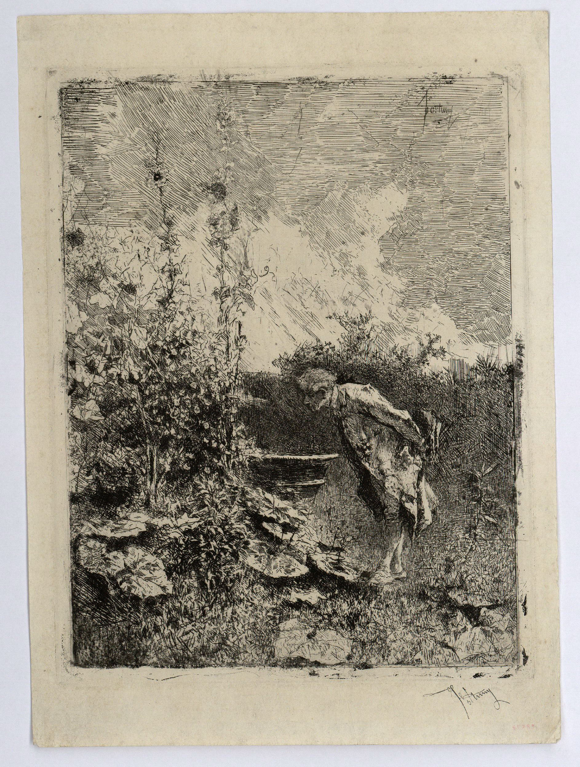 image for: Marià Fortuny - El botànic - Cap a 1868-1869