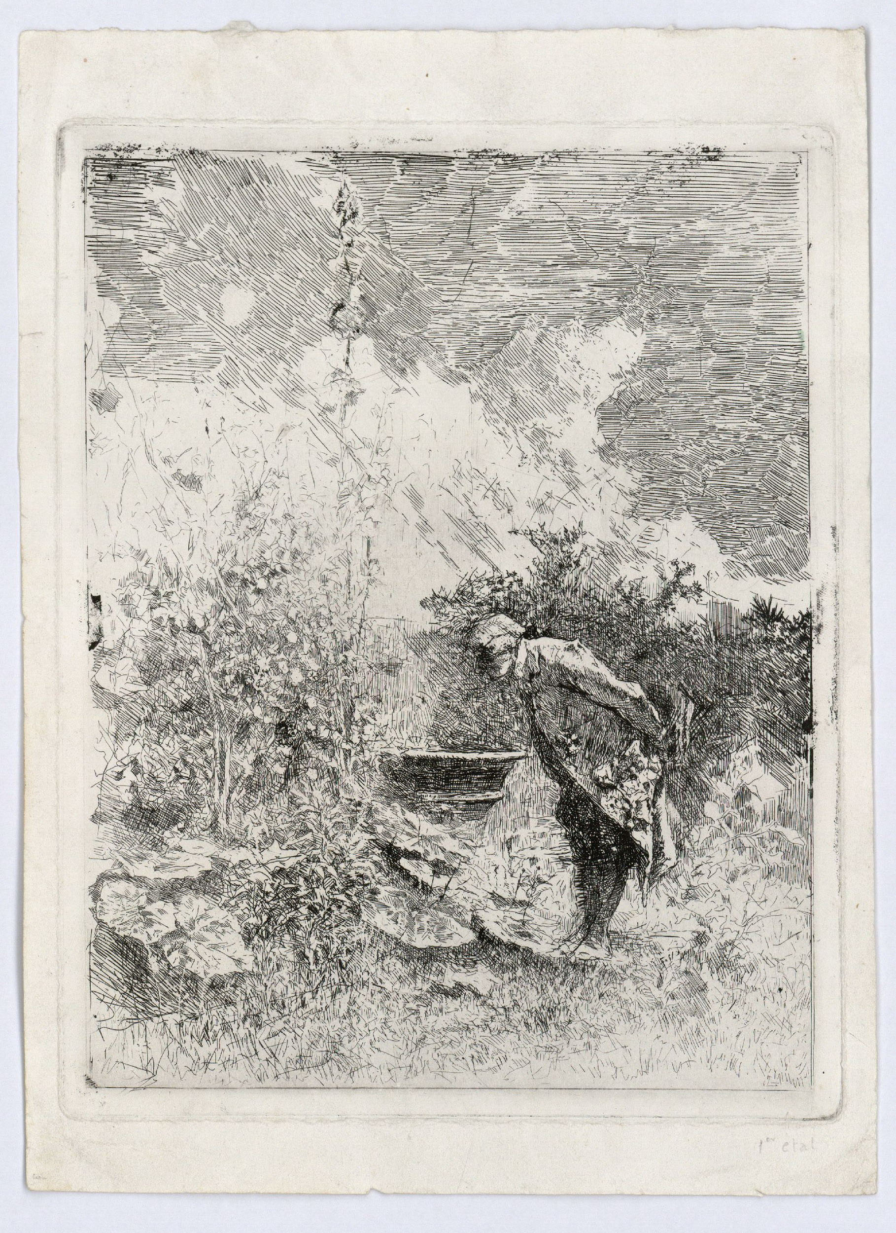 image for: Marià Fortuny - El botànic - Cap a 1868-1869