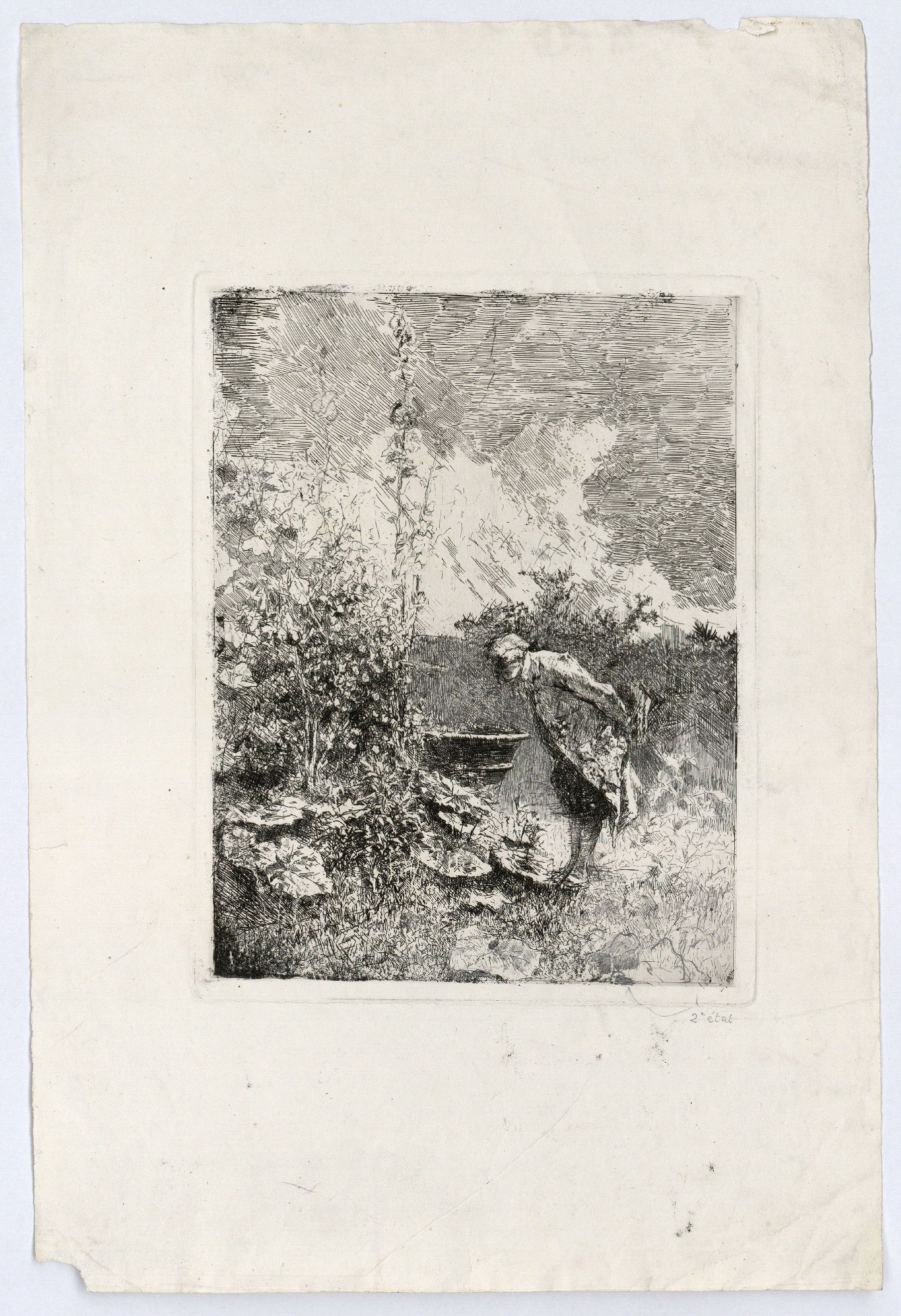 image for: Marià Fortuny - El botànic - Cap a 1868-1869