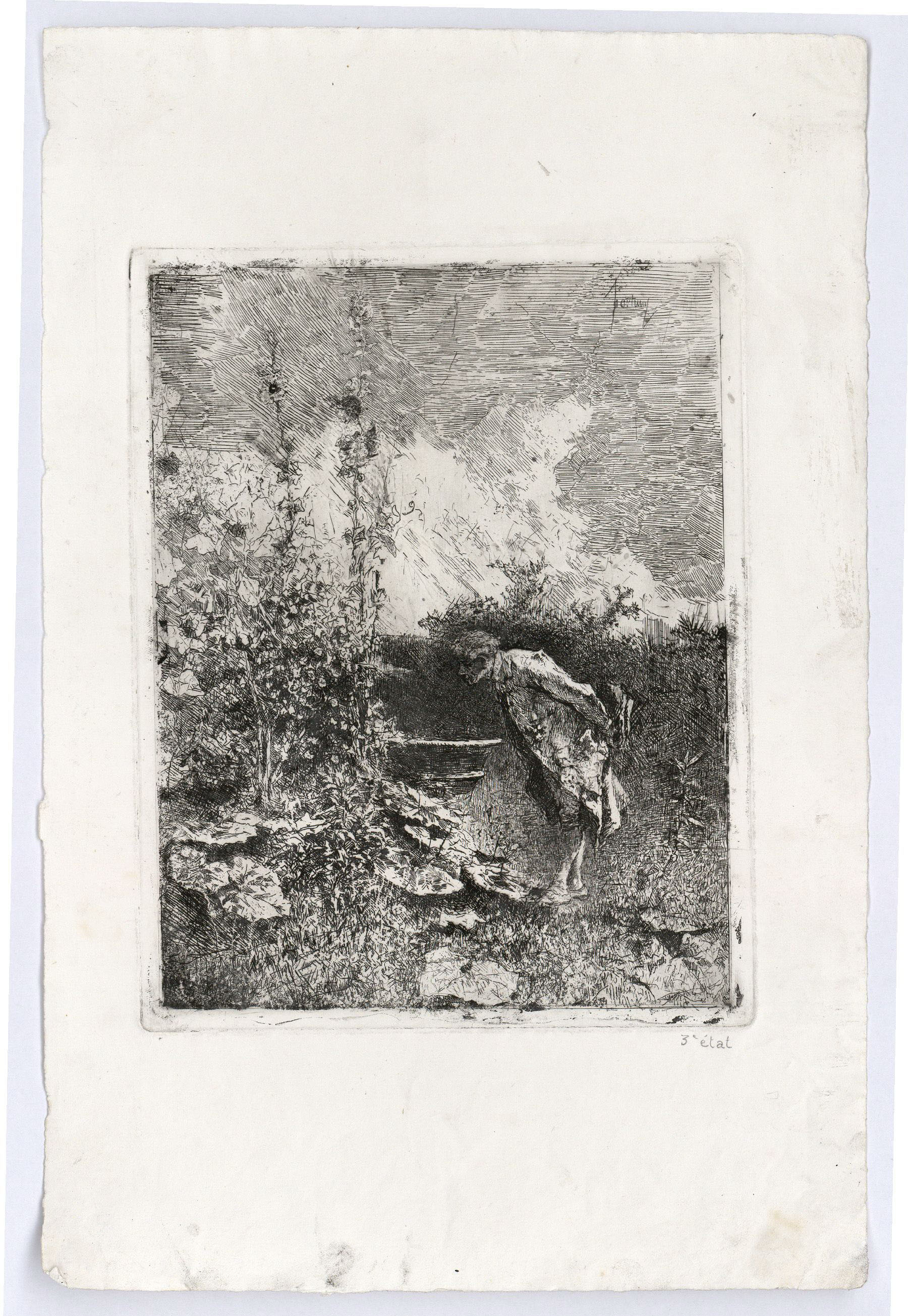 image for: Marià Fortuny - El botànic - Cap a 1868-1869