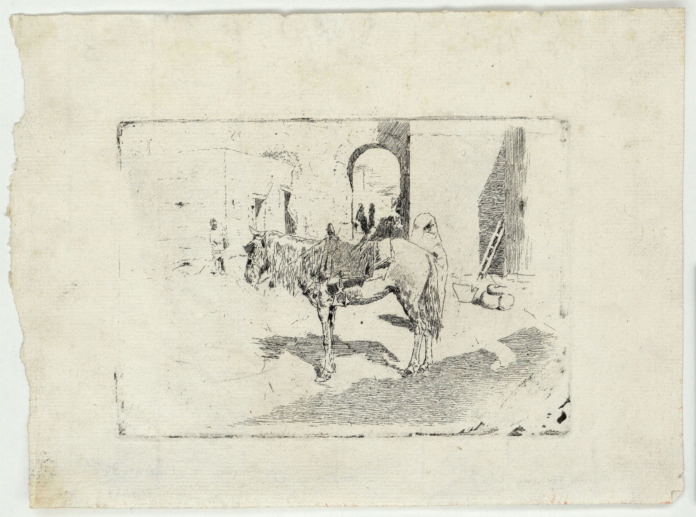 image for: Marià Fortuny - Cavall marroquí - Cap a 1873-1874