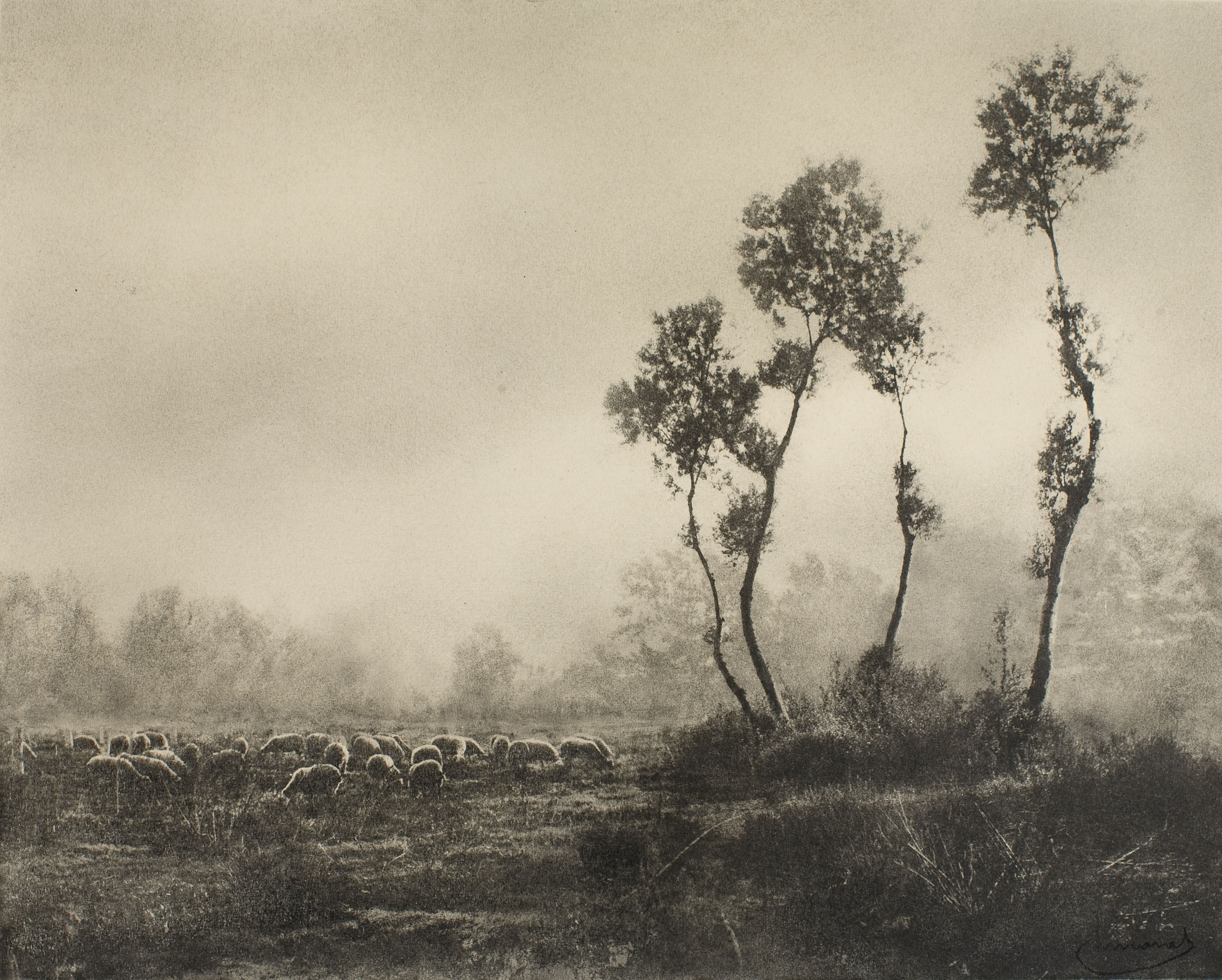 image for: Josep Maria Casals i Ariet - Mollet - Mollet, 1945