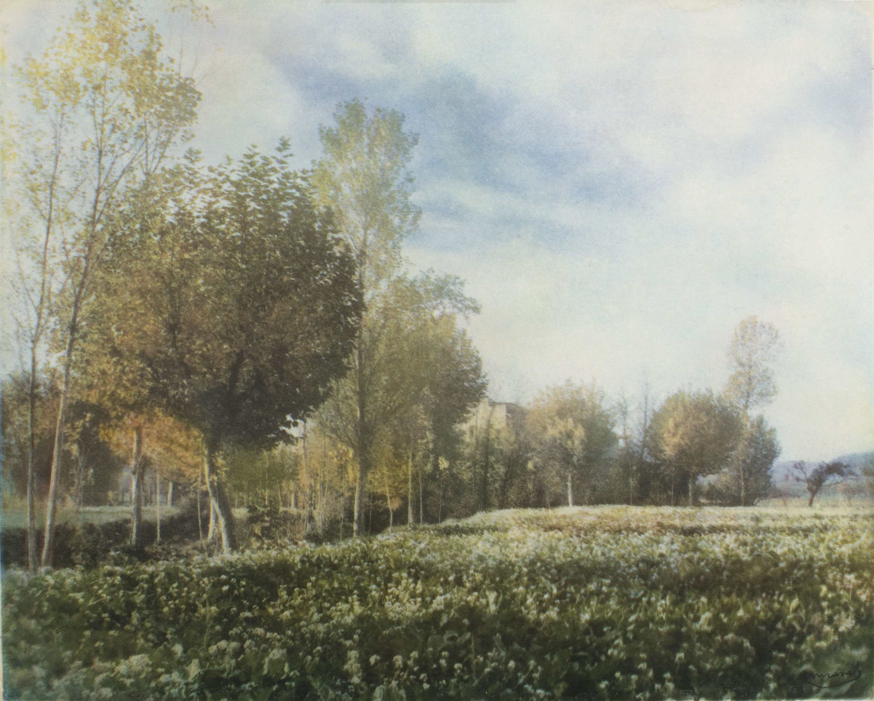 image for: Josep Maria Casals i Ariet - Plana de Vic - 1935