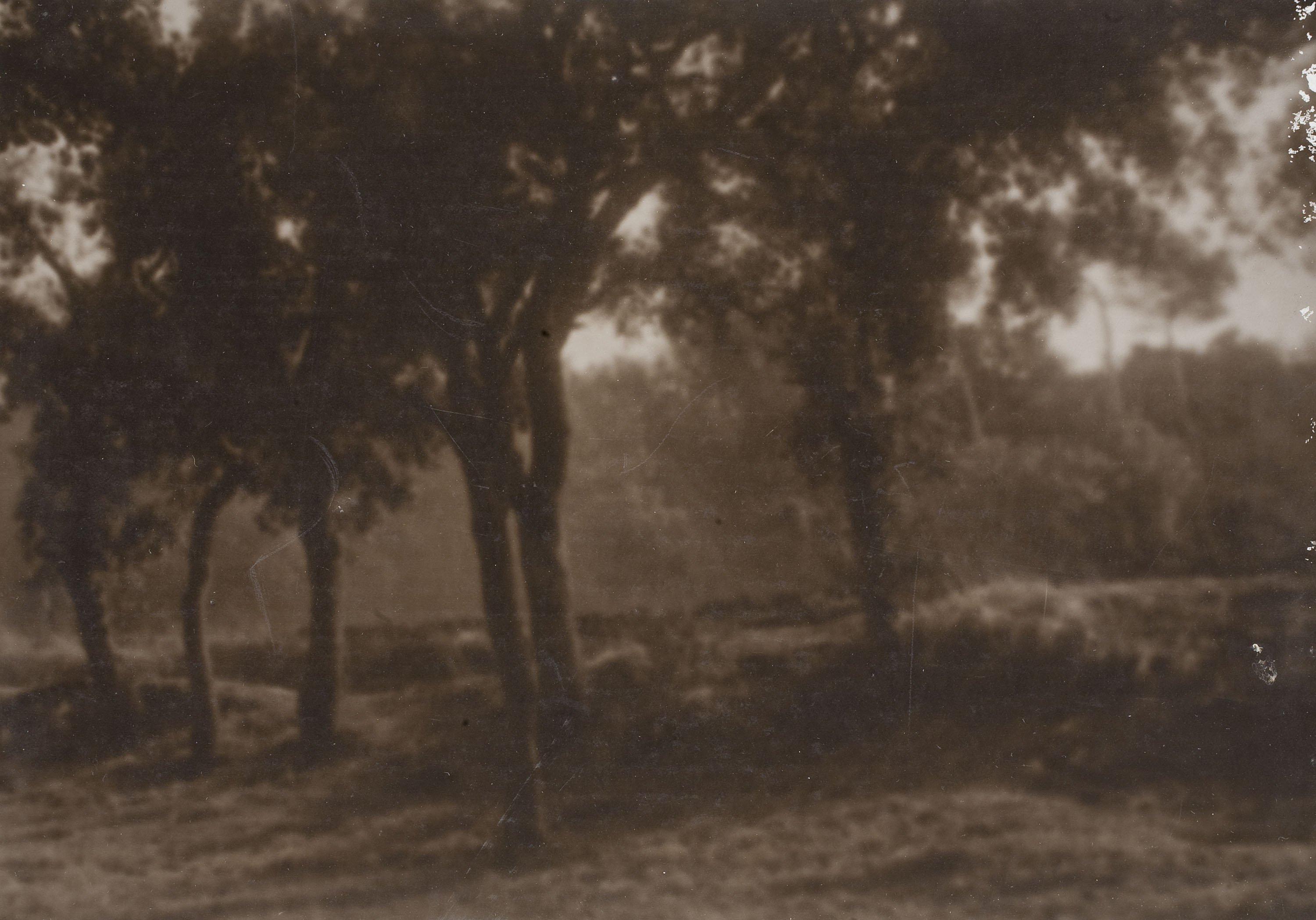 image for: Joan Vilatobà - Sense títol - No datat