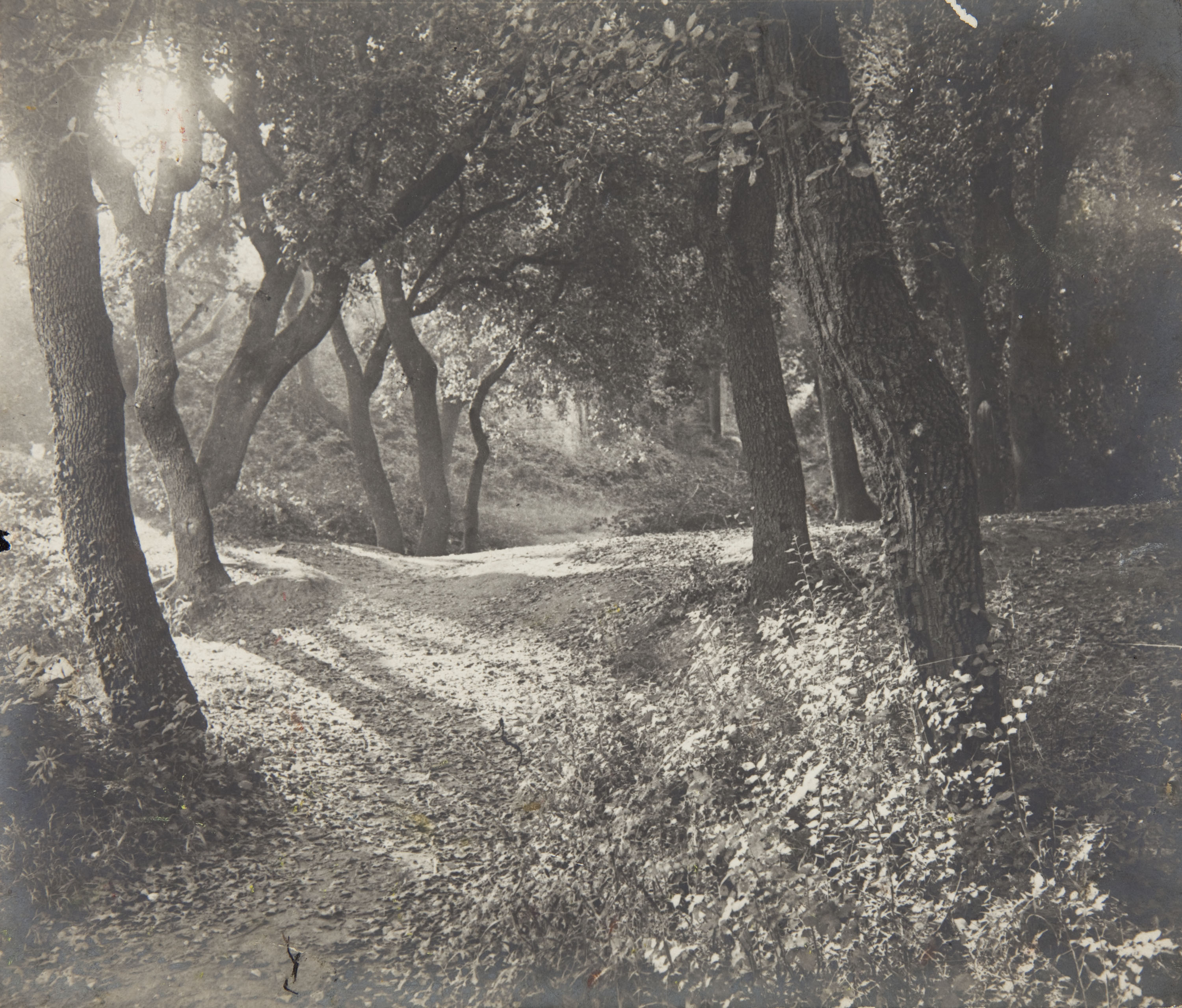 image for: Miquel Renom - Sense títol - No datat