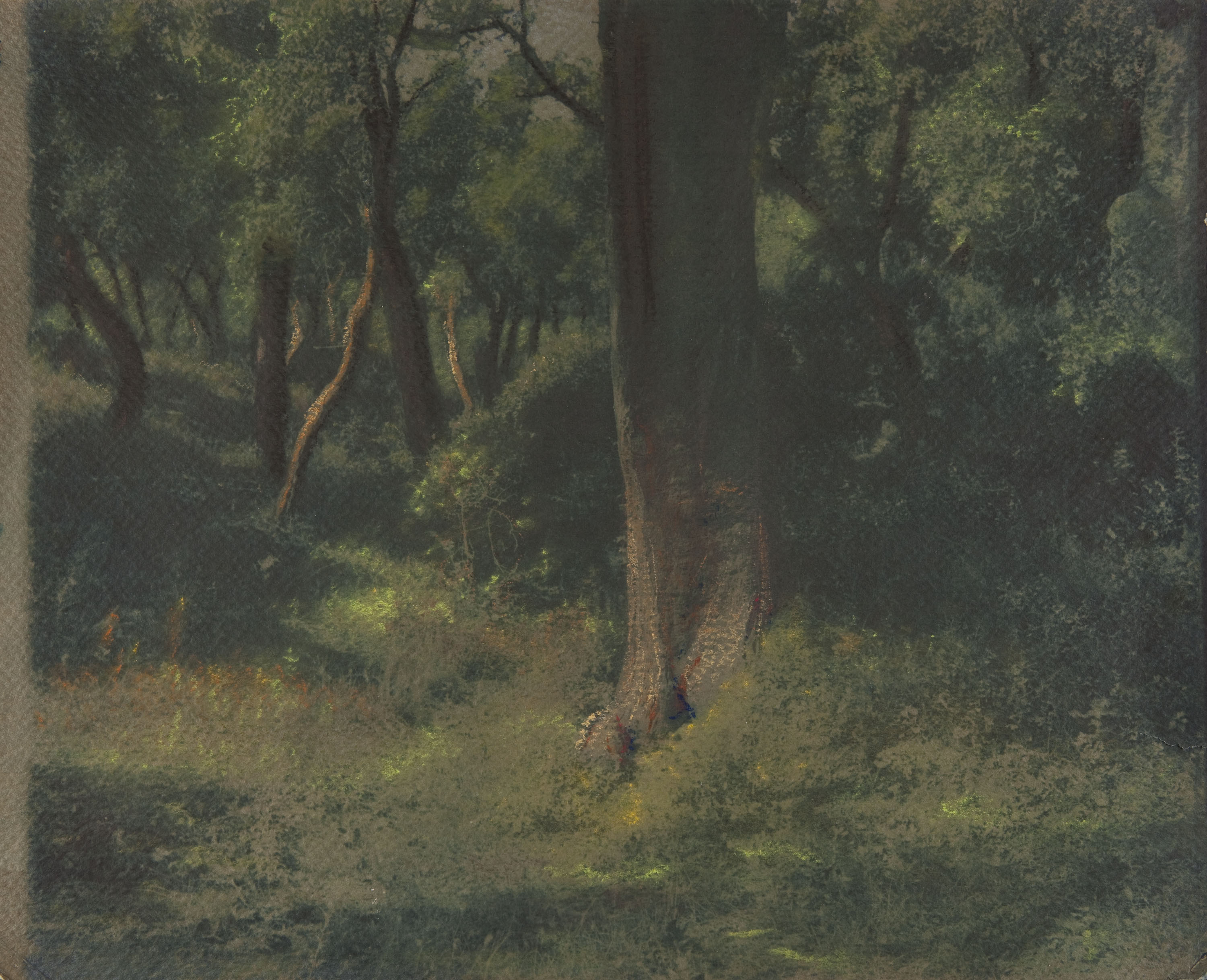 image for: Miquel Renom - Sense títol - No datat