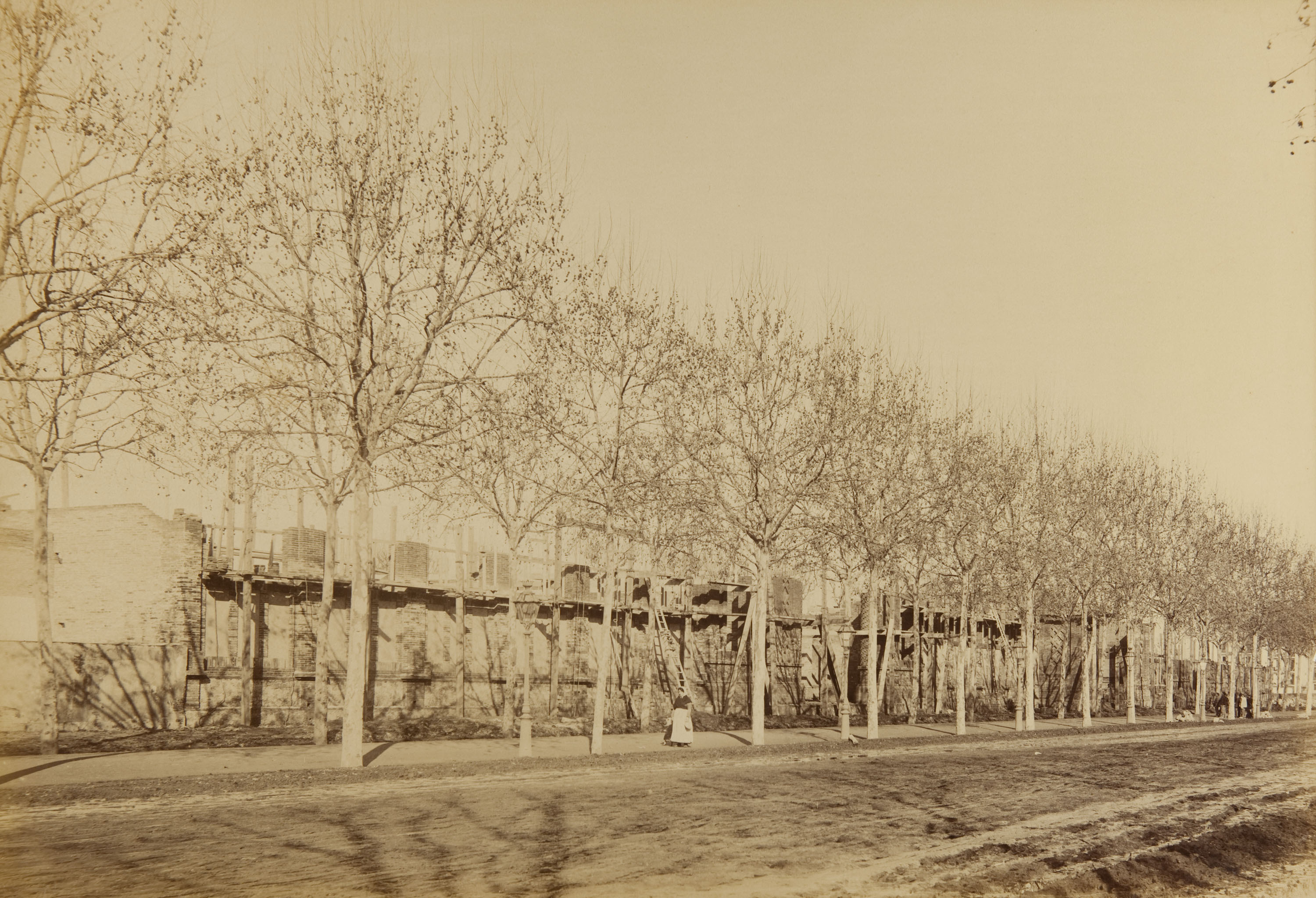 image for: Pau Audouard - Sense títol - Cap a 1888