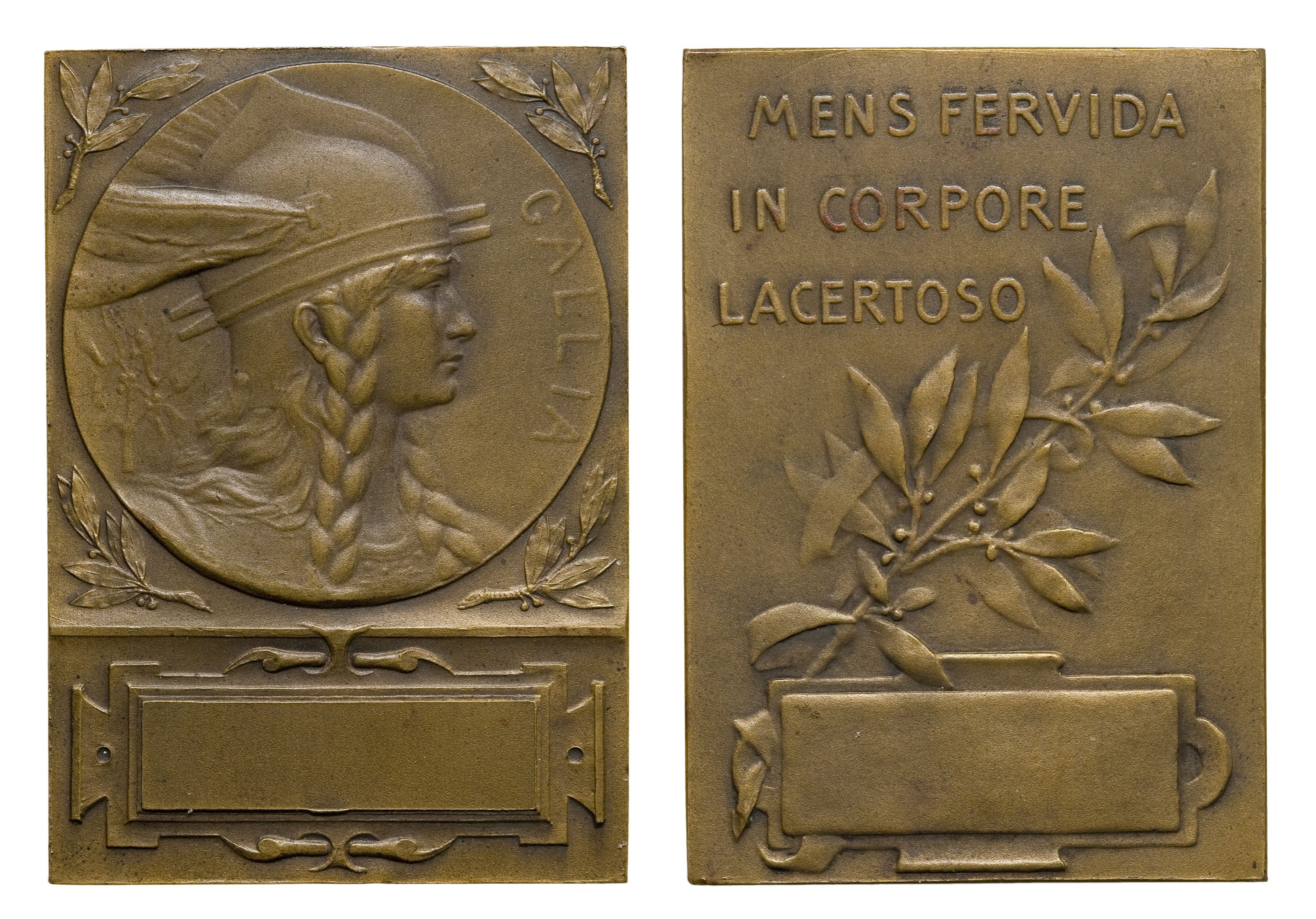 image for: Charles Pillet - Gàl·lia. «Mens fervida in corpore lacertoso» - Cap al 1900