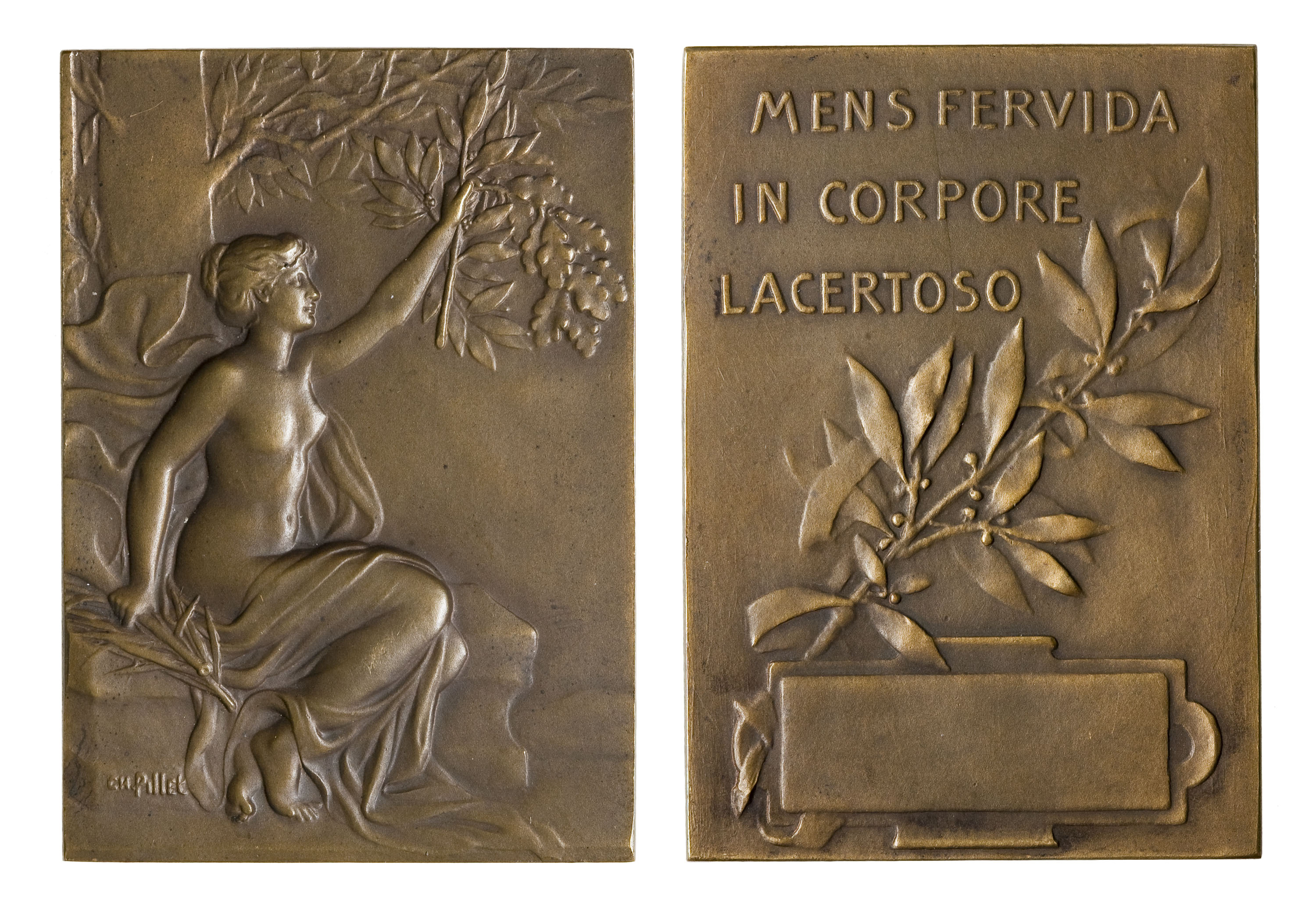 image for: Charles Pillet - Dona al jardí. «Mens fervida in corpore lacertoso» - Cap al 1900