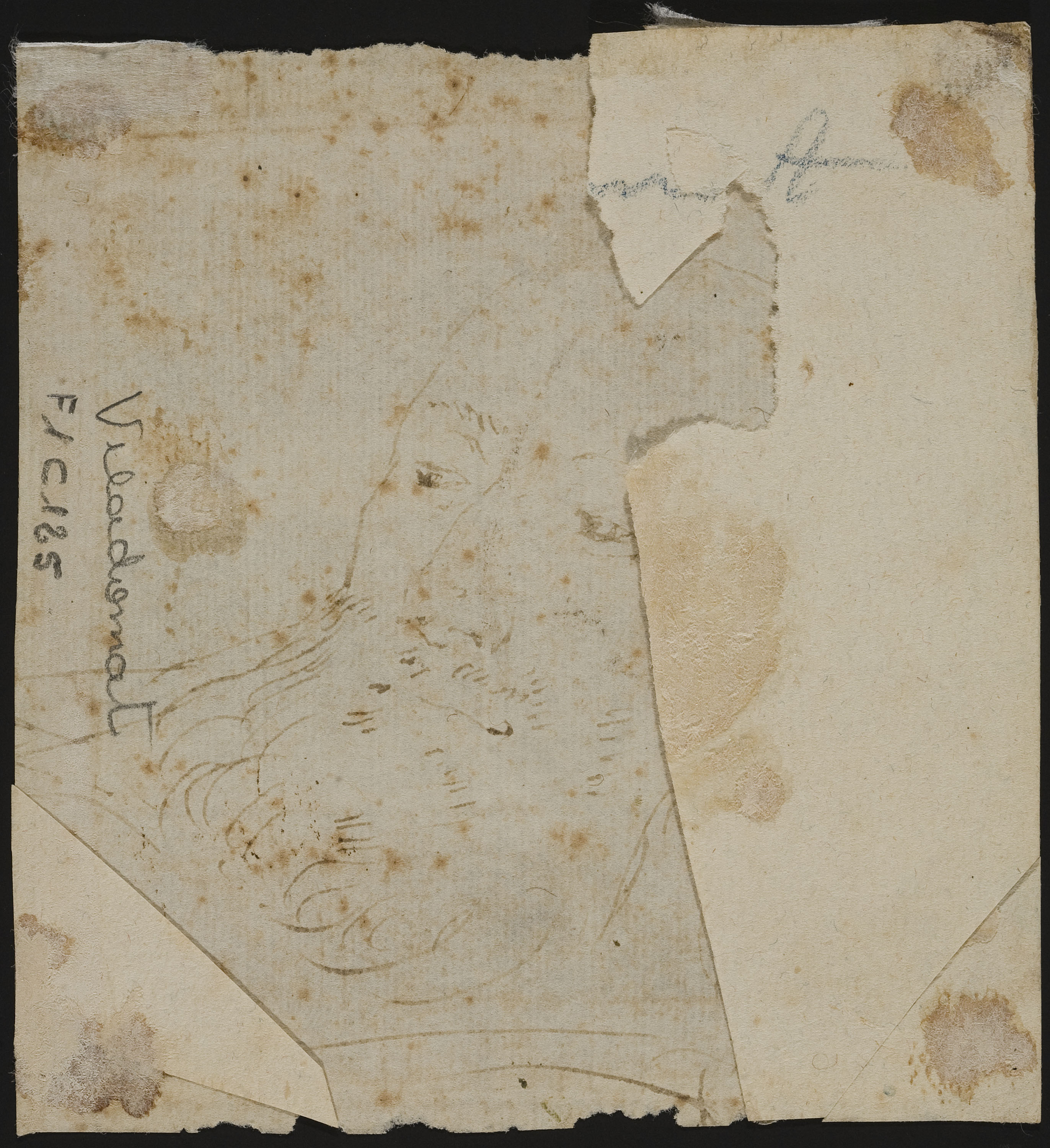 image for: Antoni Viladomat - Cap de frare (sant Francesc) (anvers) / Esbós de cap de frare (revers) - Cap a 1720-1730 [1]