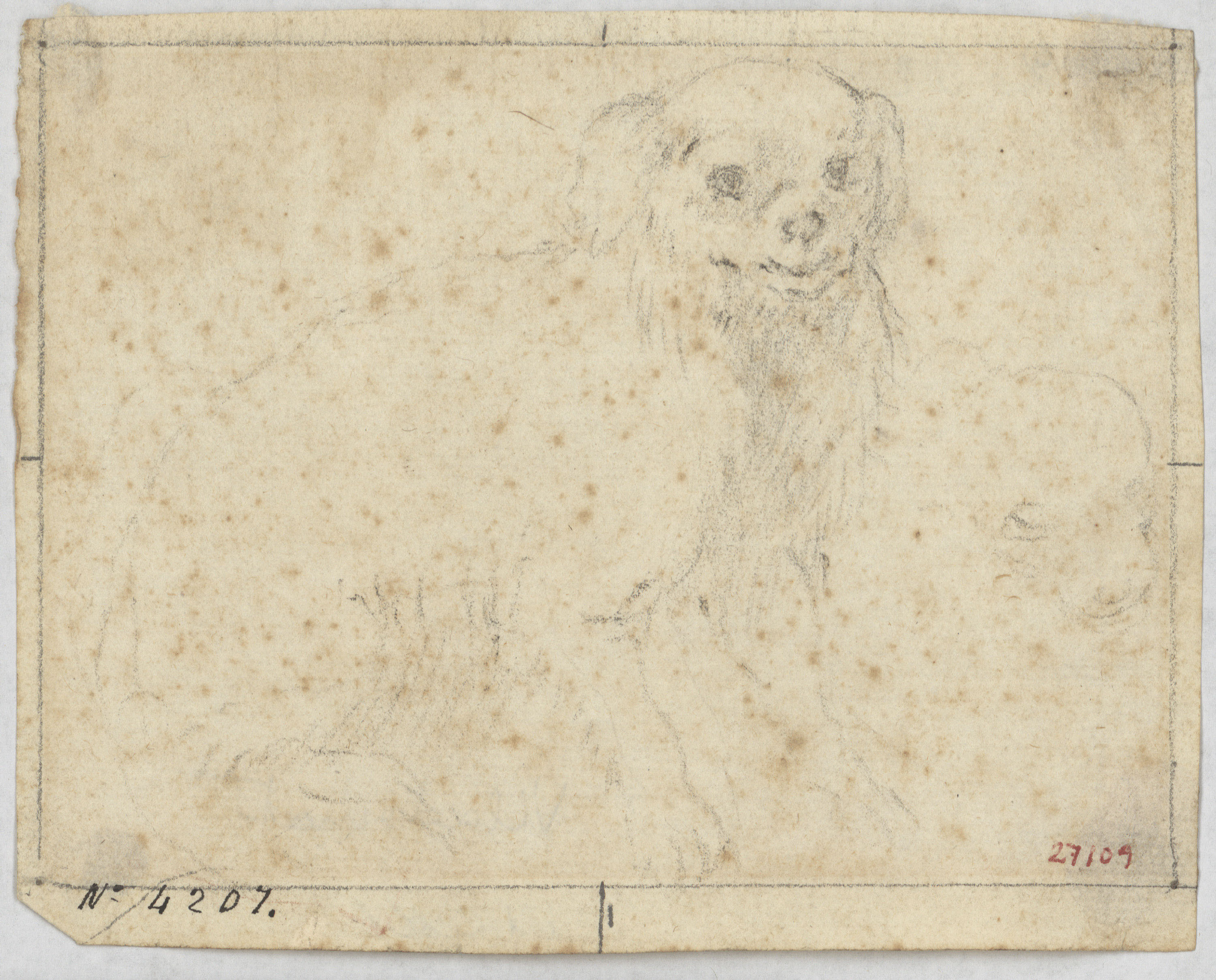 image for: Antoni Viladomat - Estudi de gos - Cap a 1720-1755