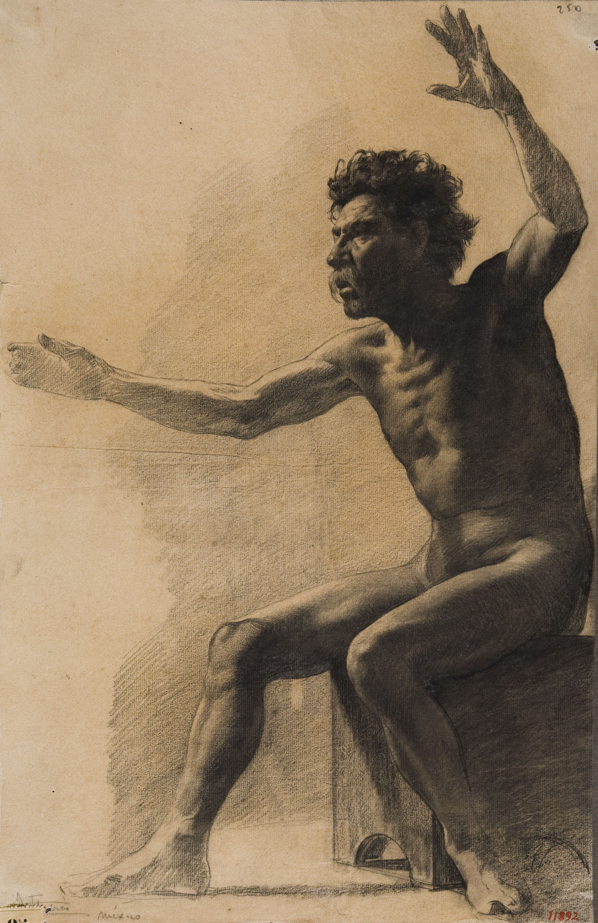 image for: Antoni Fabrés - Nu masculí - Cap a 1902-1906