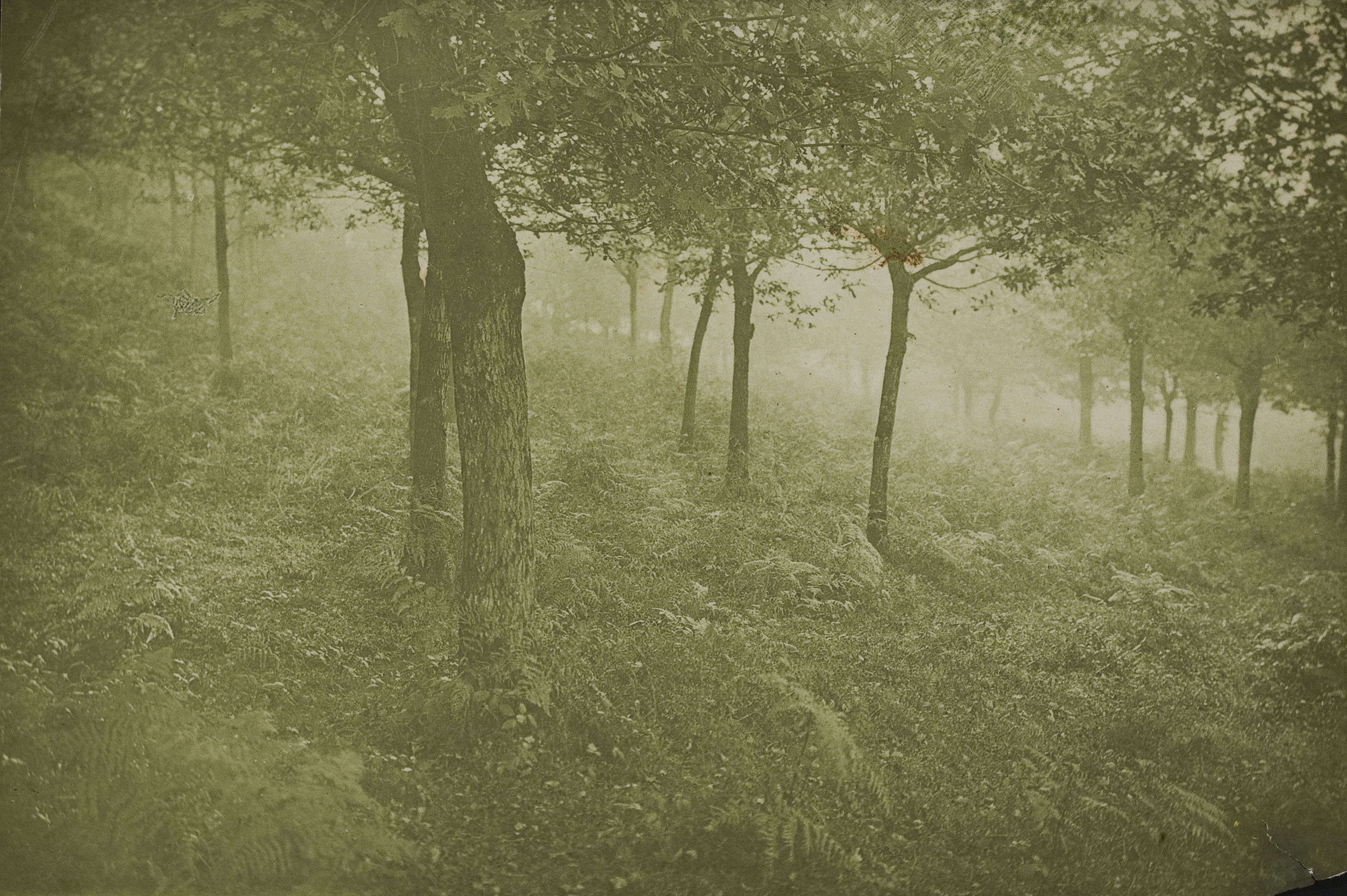 image for: Miquel Renom - Sense títol - No datat