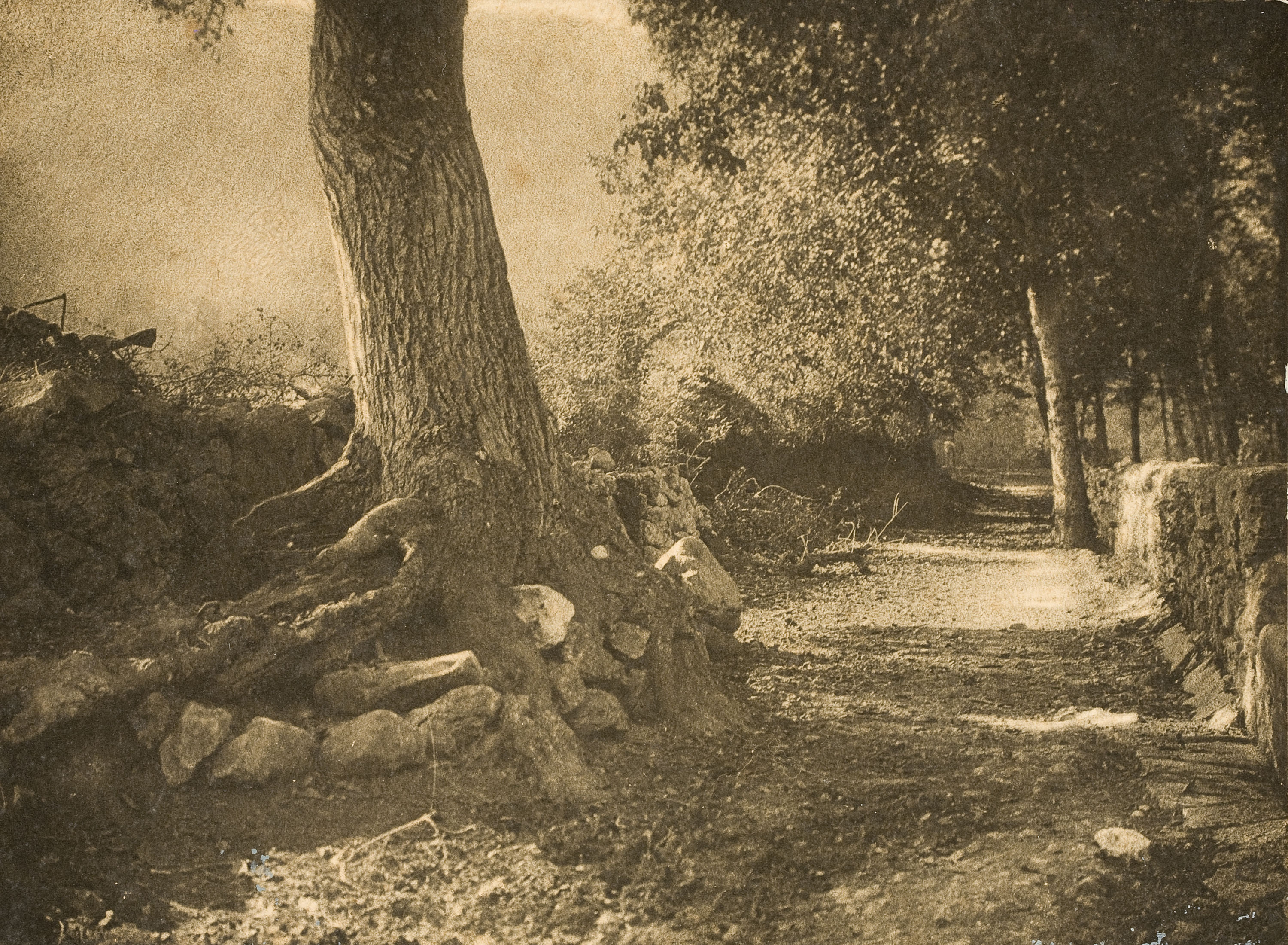 image for: Miquel Renom - Sense títol - No datat