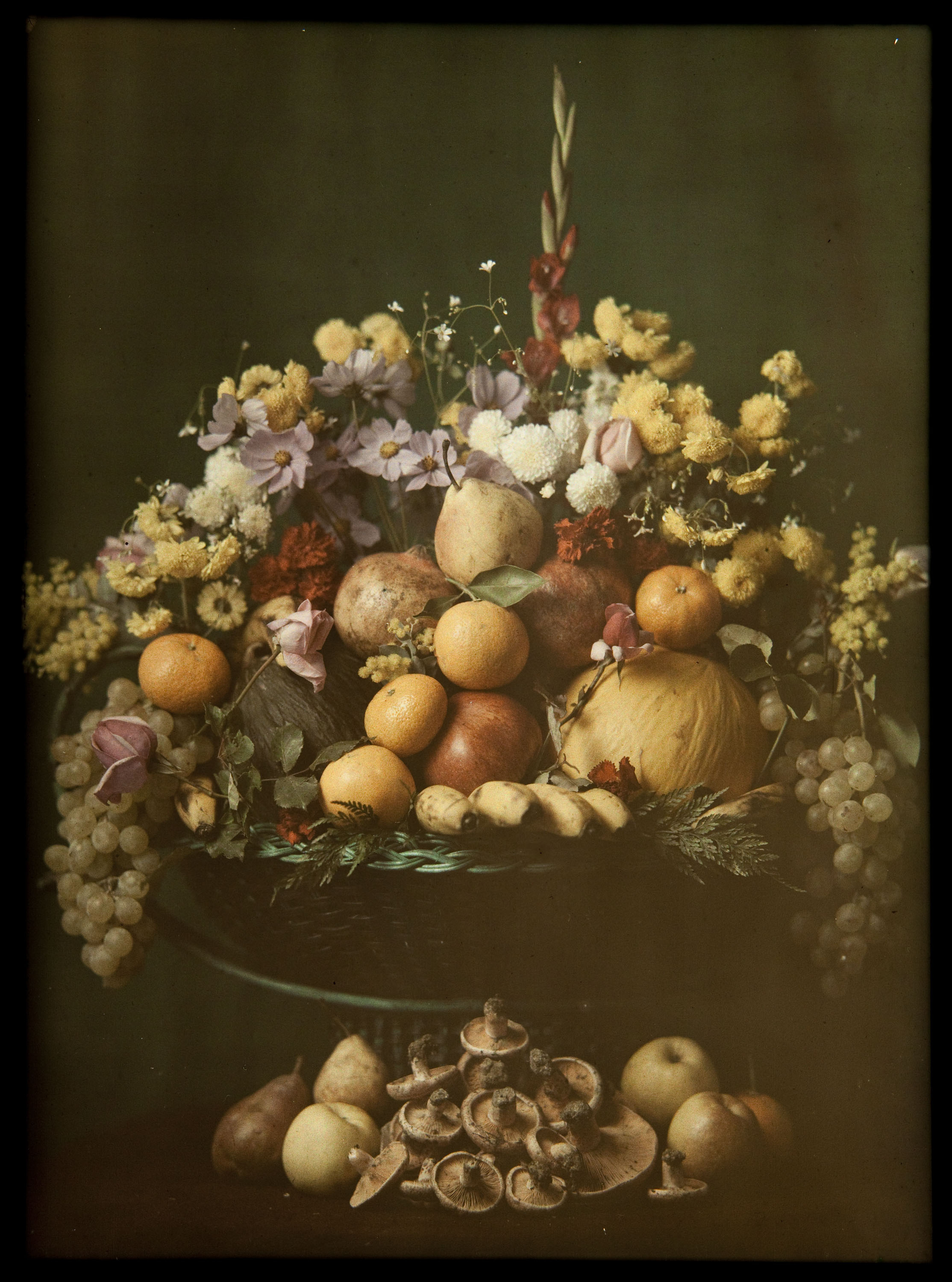 image for: Francesc Carrera Bou - Natura morta amb fruita, flors i bolets - Cap a 1922-1926