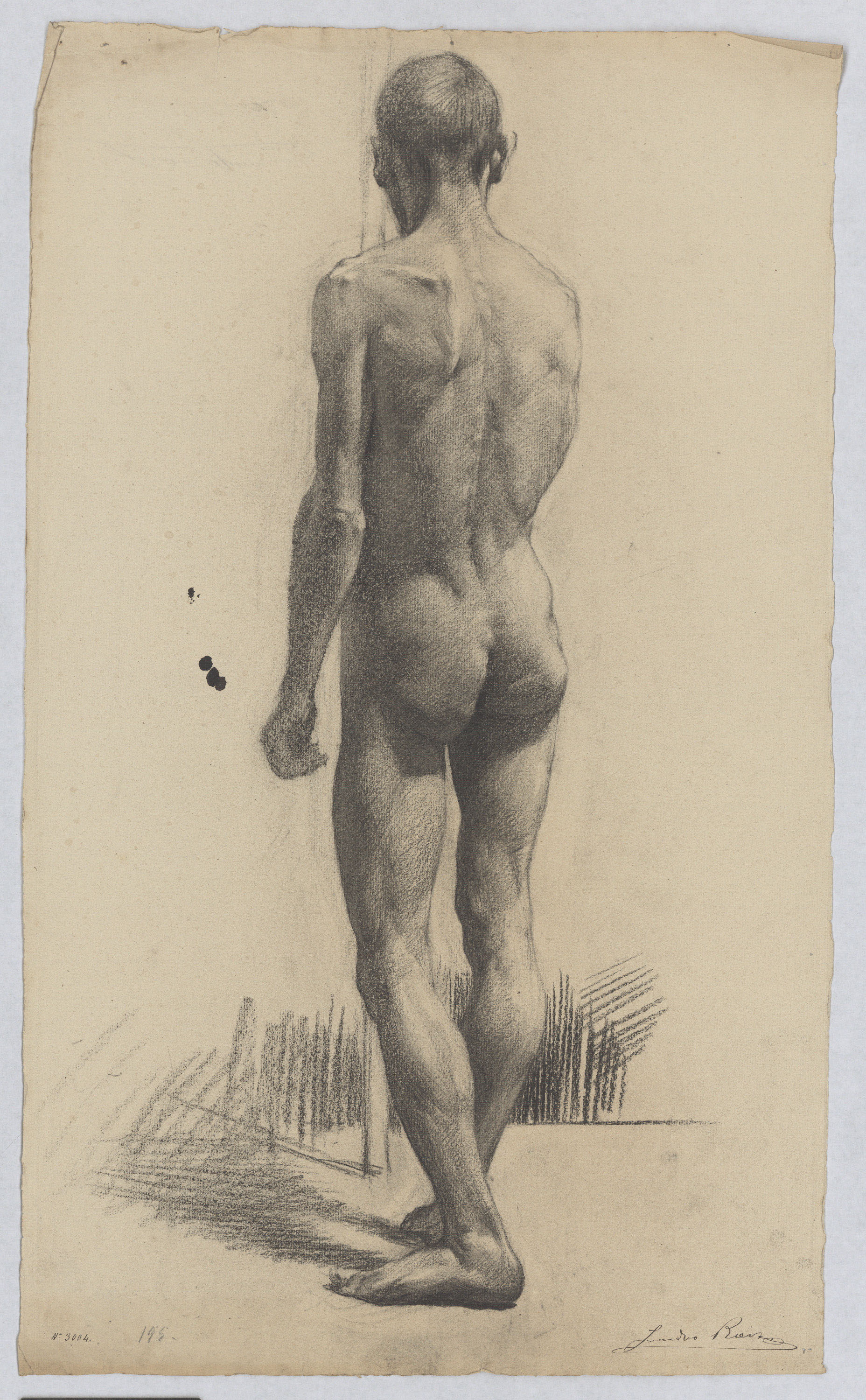 image for: Isidre Riera - Nu masculí - Cap a 1895-1900