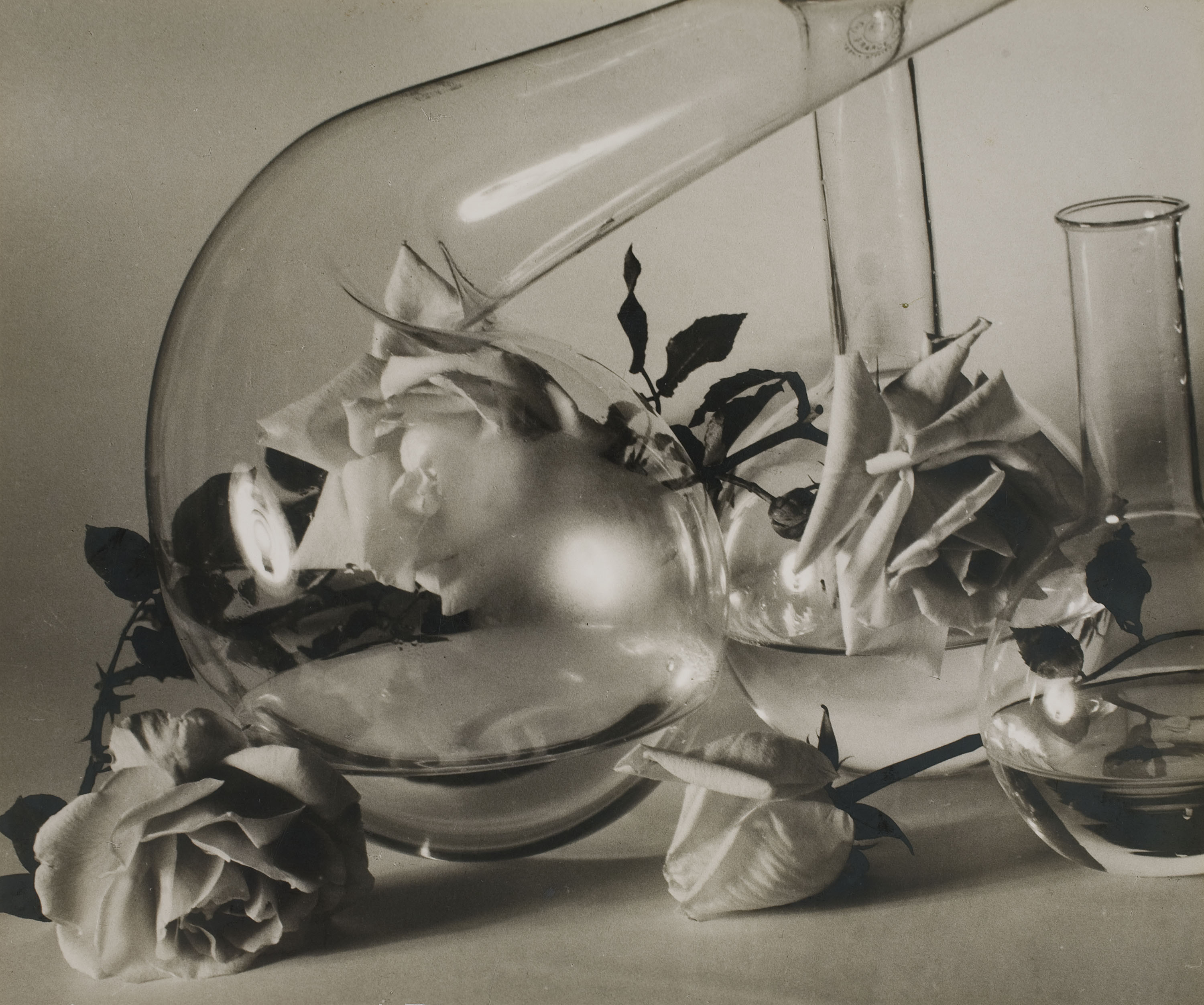 image for: Ramon Batlles - Fotografia publicitària per a Myrurgia - Cap a 1930
