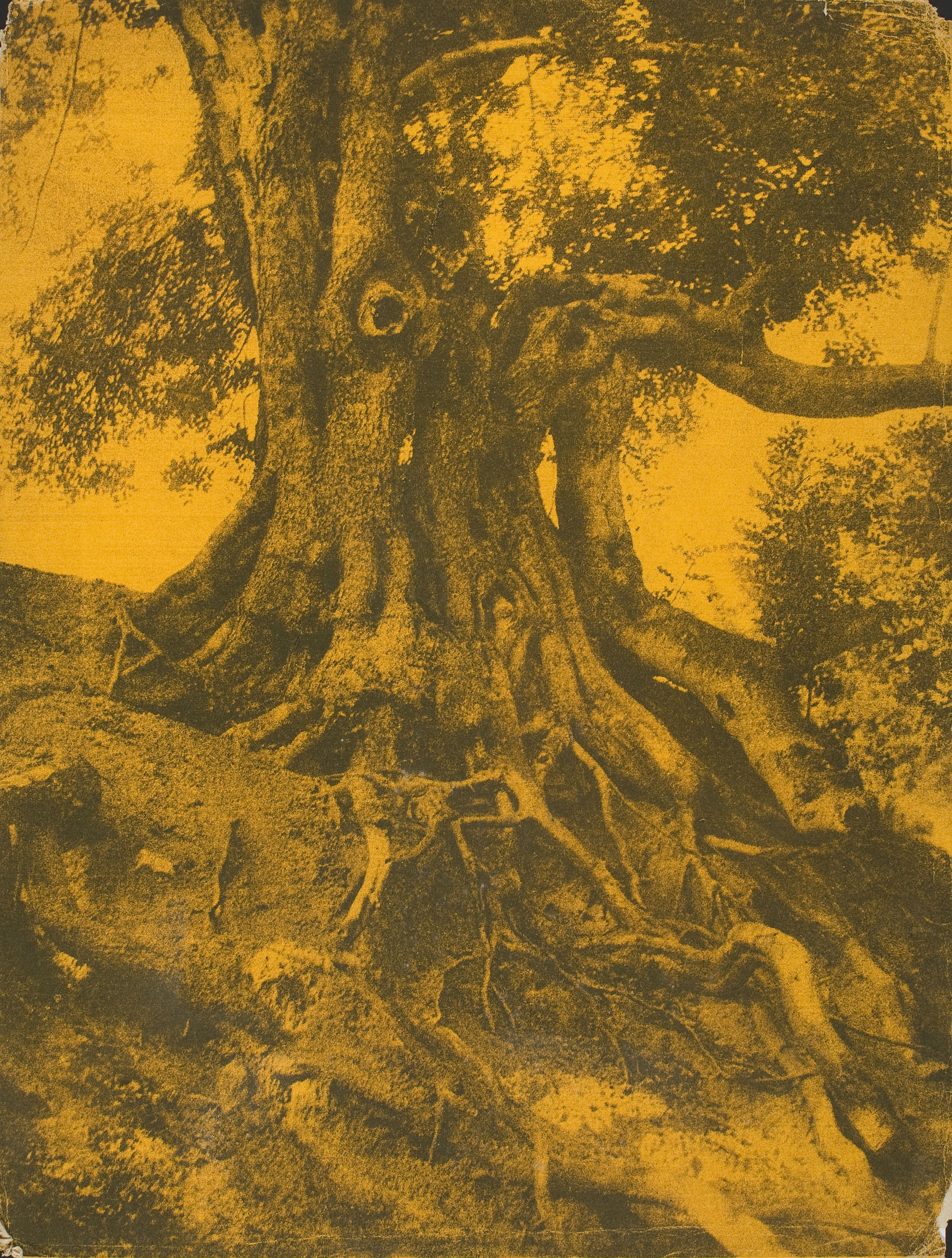 image for: Joaquim Pla Janini - Algarrobo - No datat