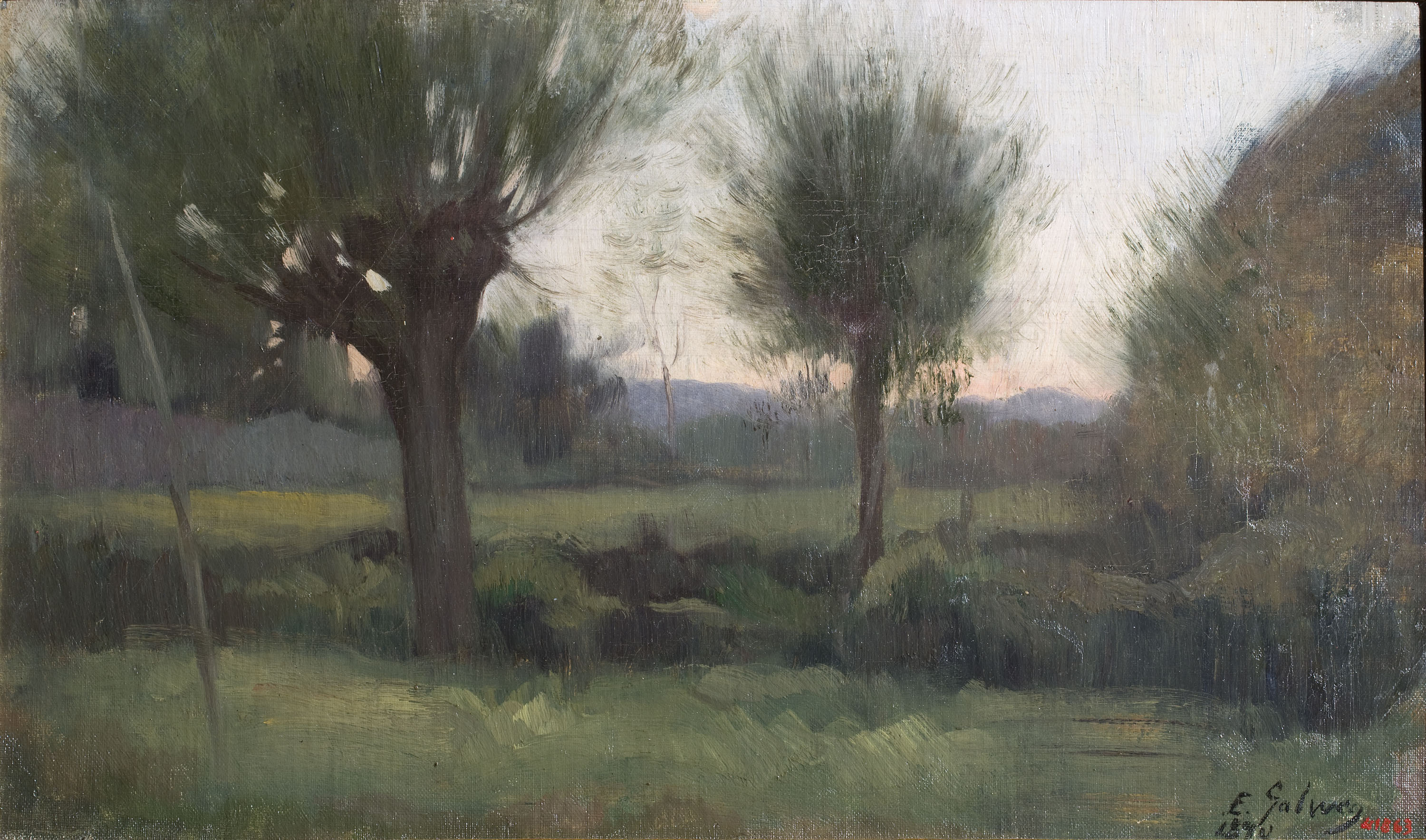 image for: Enric Galwey - Salzes al capvespre - 1890