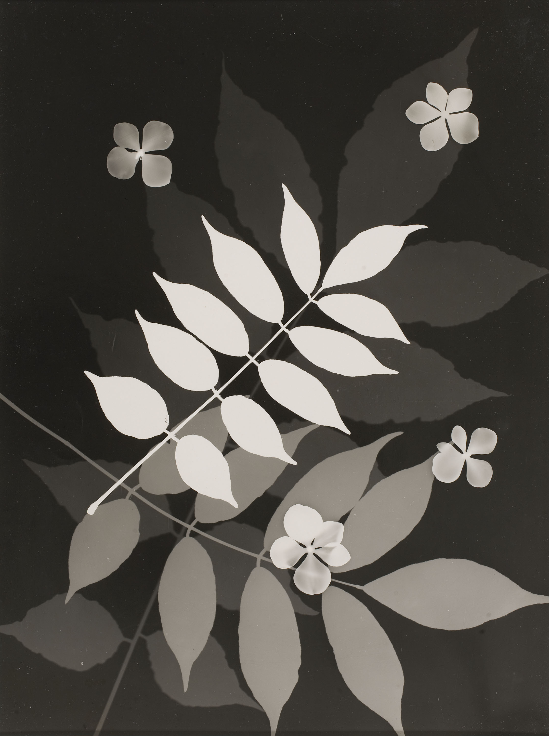 image for: Emili Godes - Sense títol - Cap a 1930