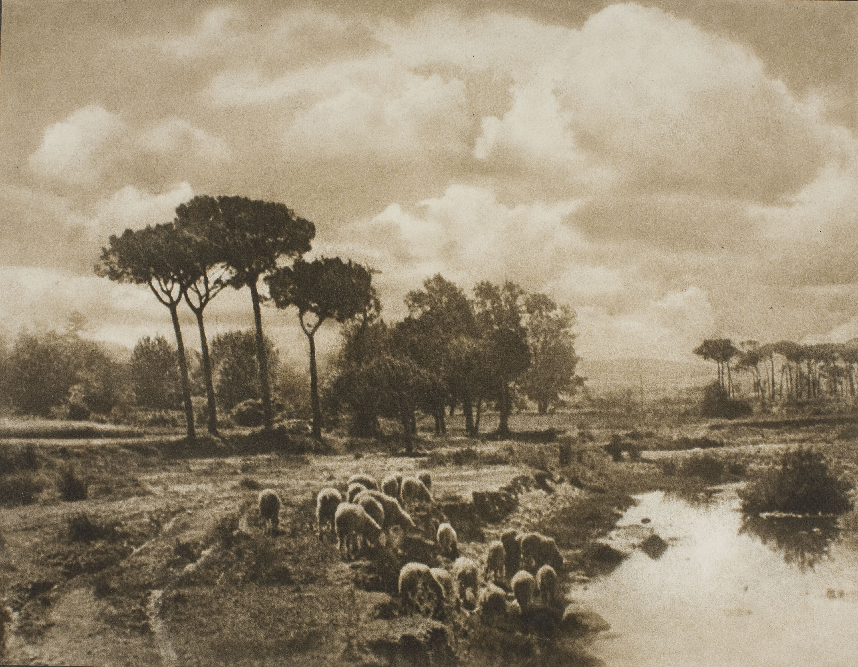 image for: Josep Maria Casals i Ariet - Paisatge amb riu i ovelles - No datat