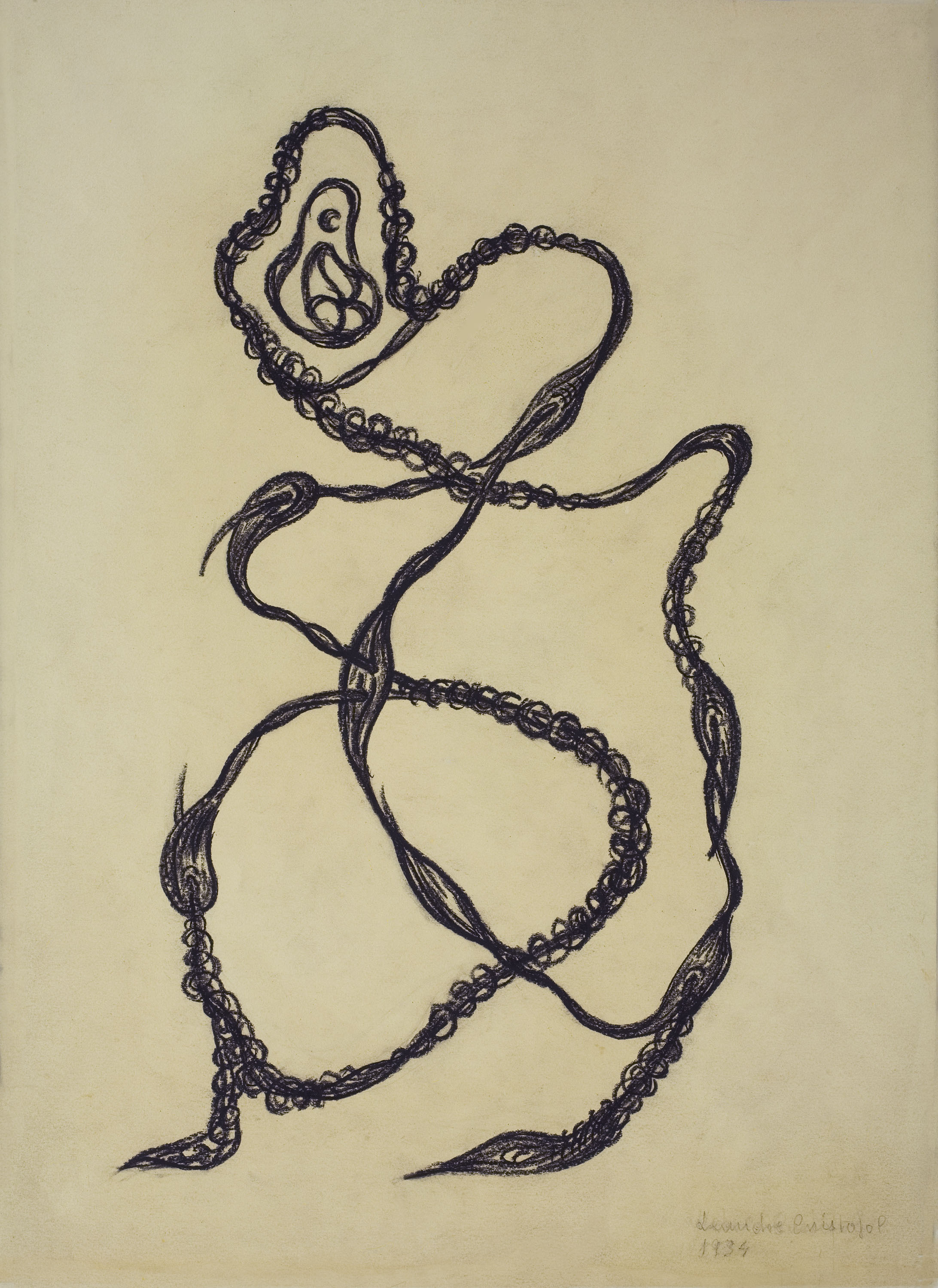 image for: Leandre Cristòfol - Morfologia 19 - 1934