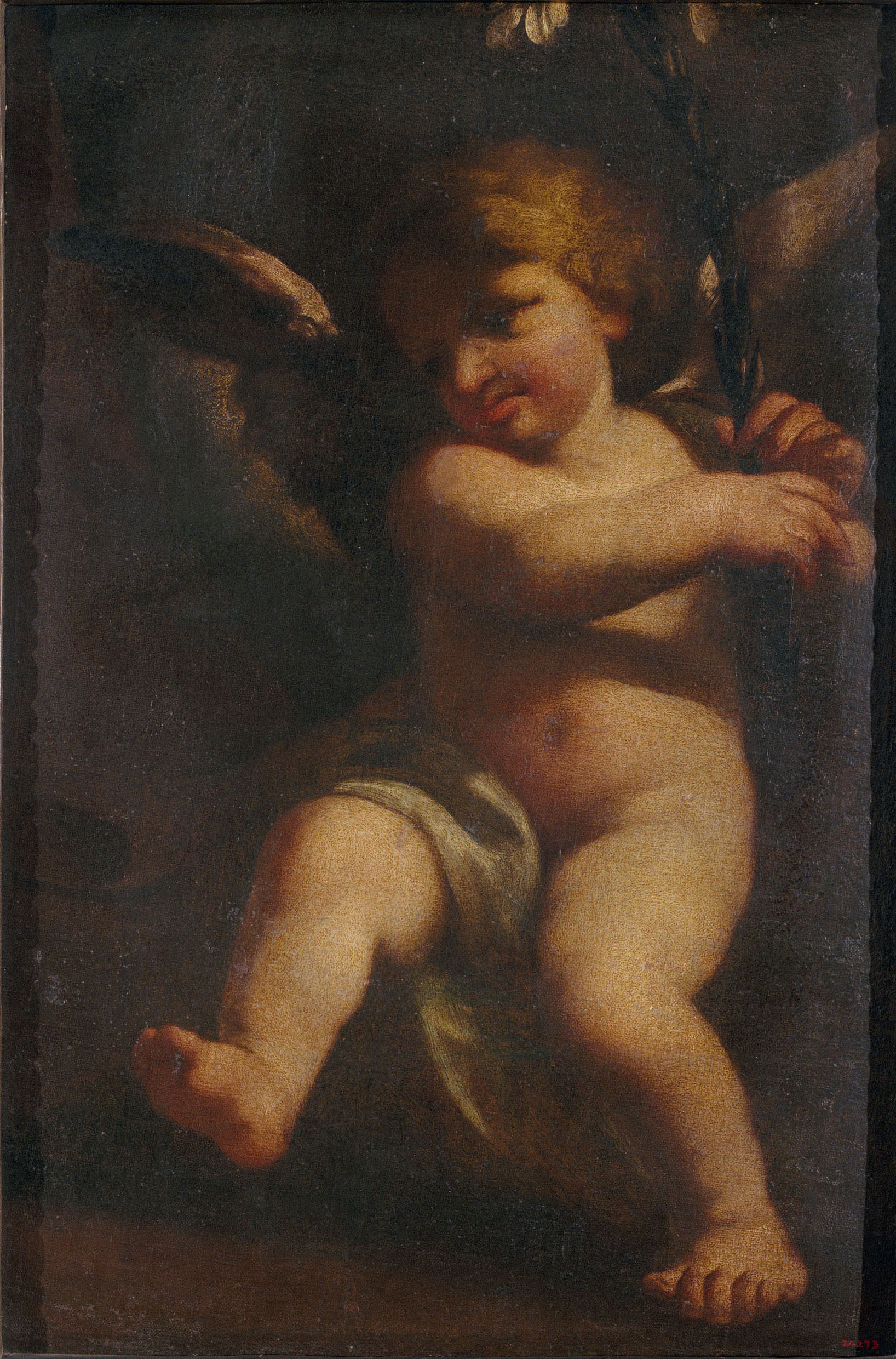 image for: Pere Cuquet - Angelet - Segle XVII