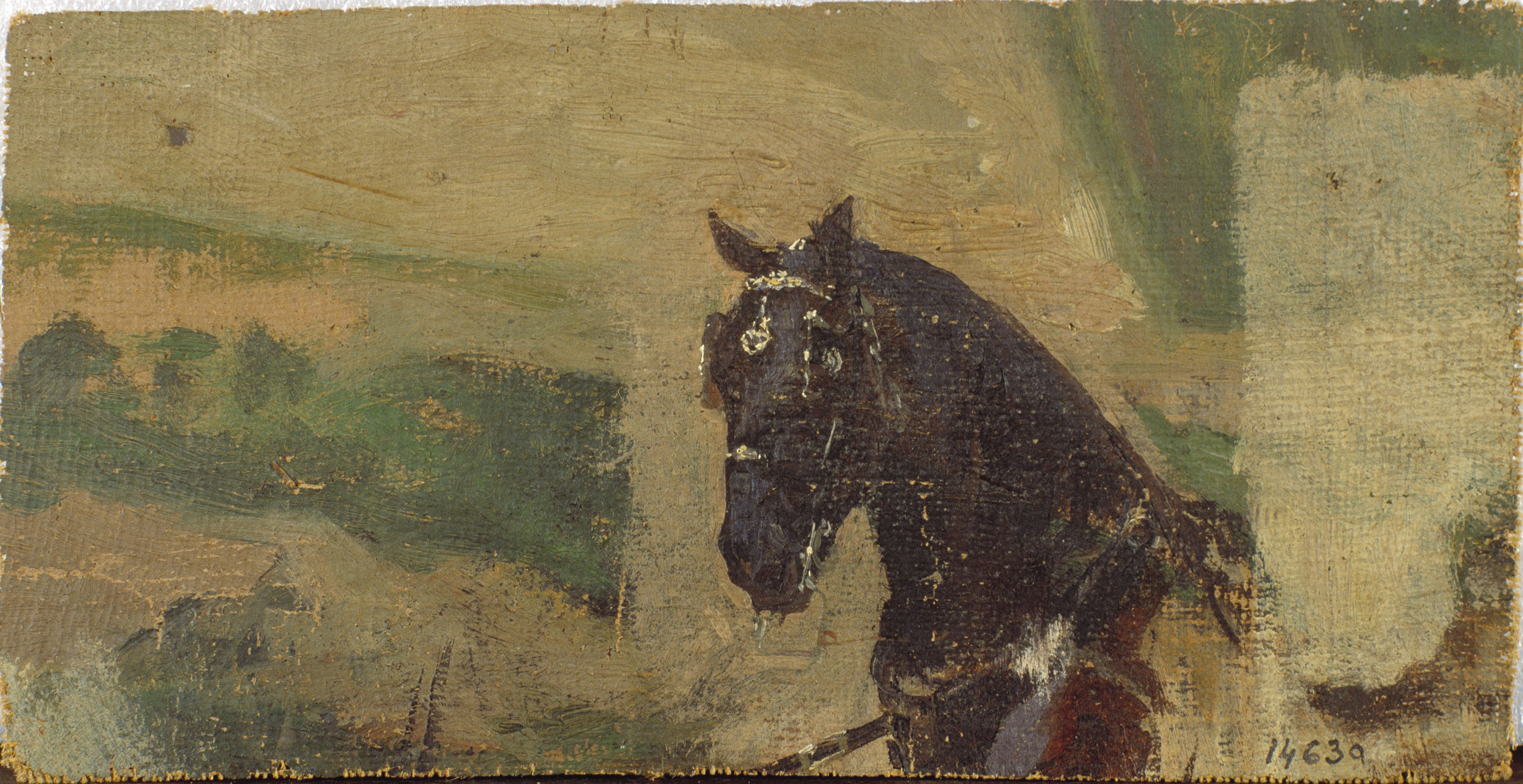 image for: Marià Fortuny - Estudi de cavall - 1863