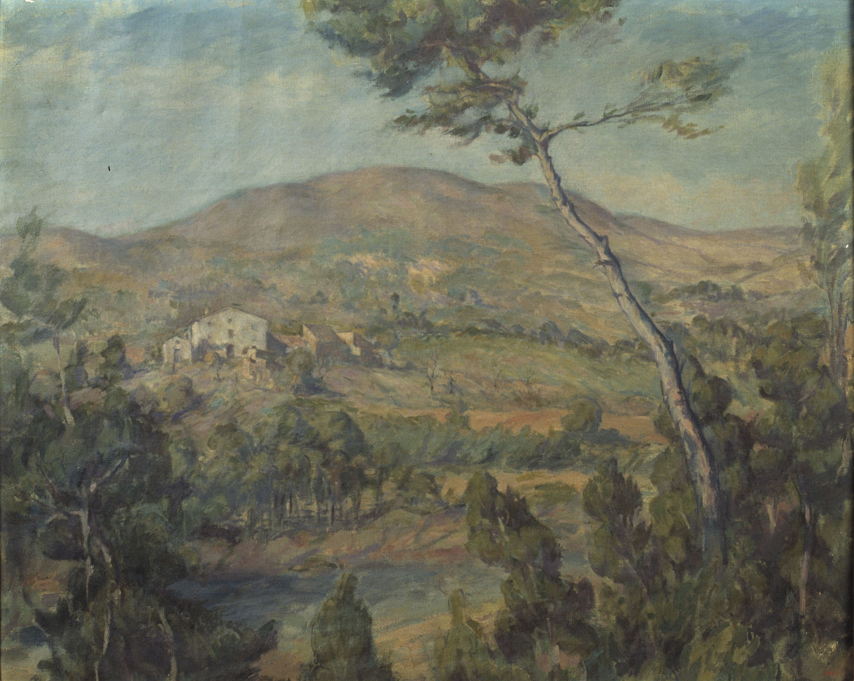 image for: Ricard Canals - El pi - Cap a 1920