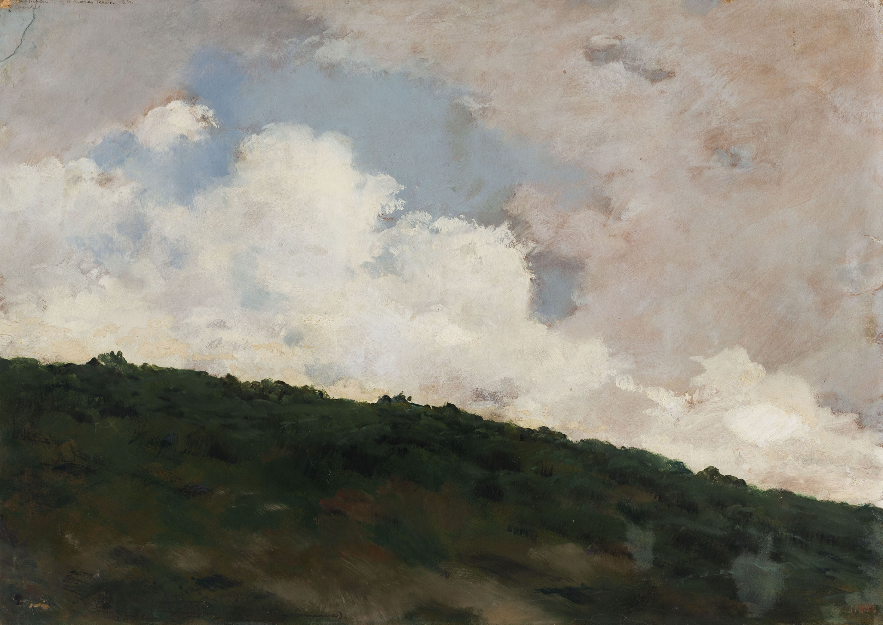 image for: Antoni Fabrés - Núvol blanc - Conches, 1899