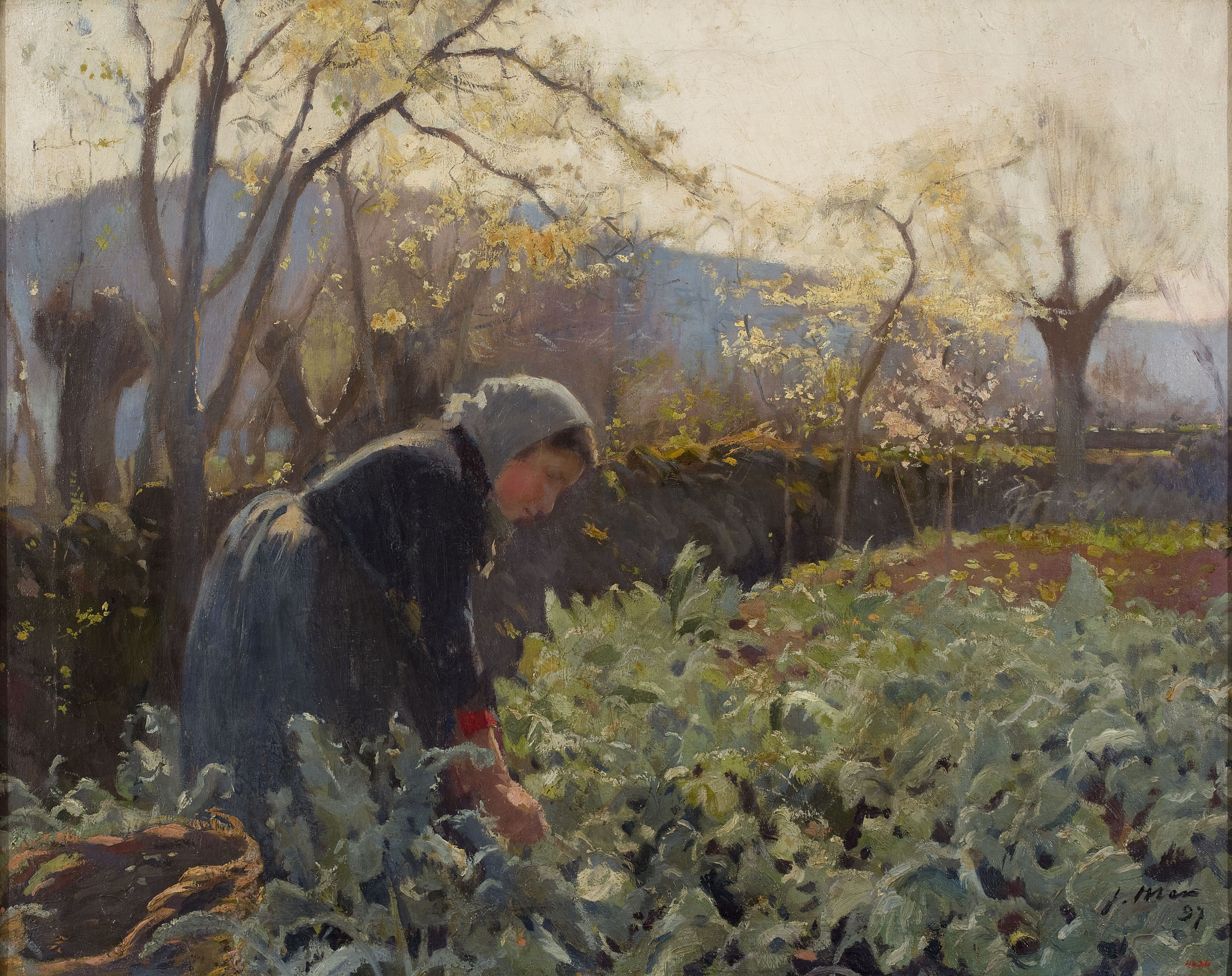image for: Joaquim Mir - Pagesa arrencant cols - 1897