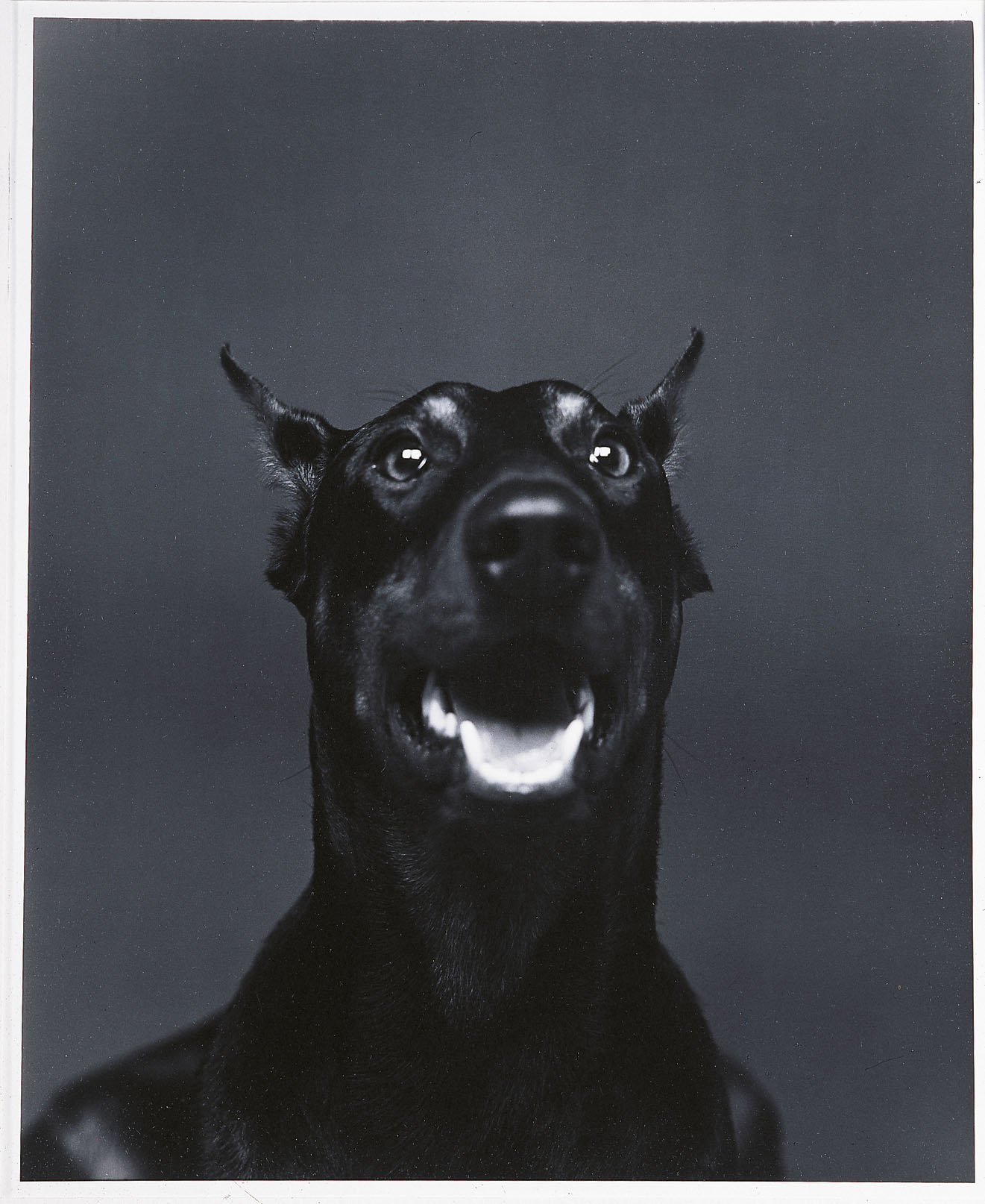 image for: Humberto Rivas - Boira - 1985